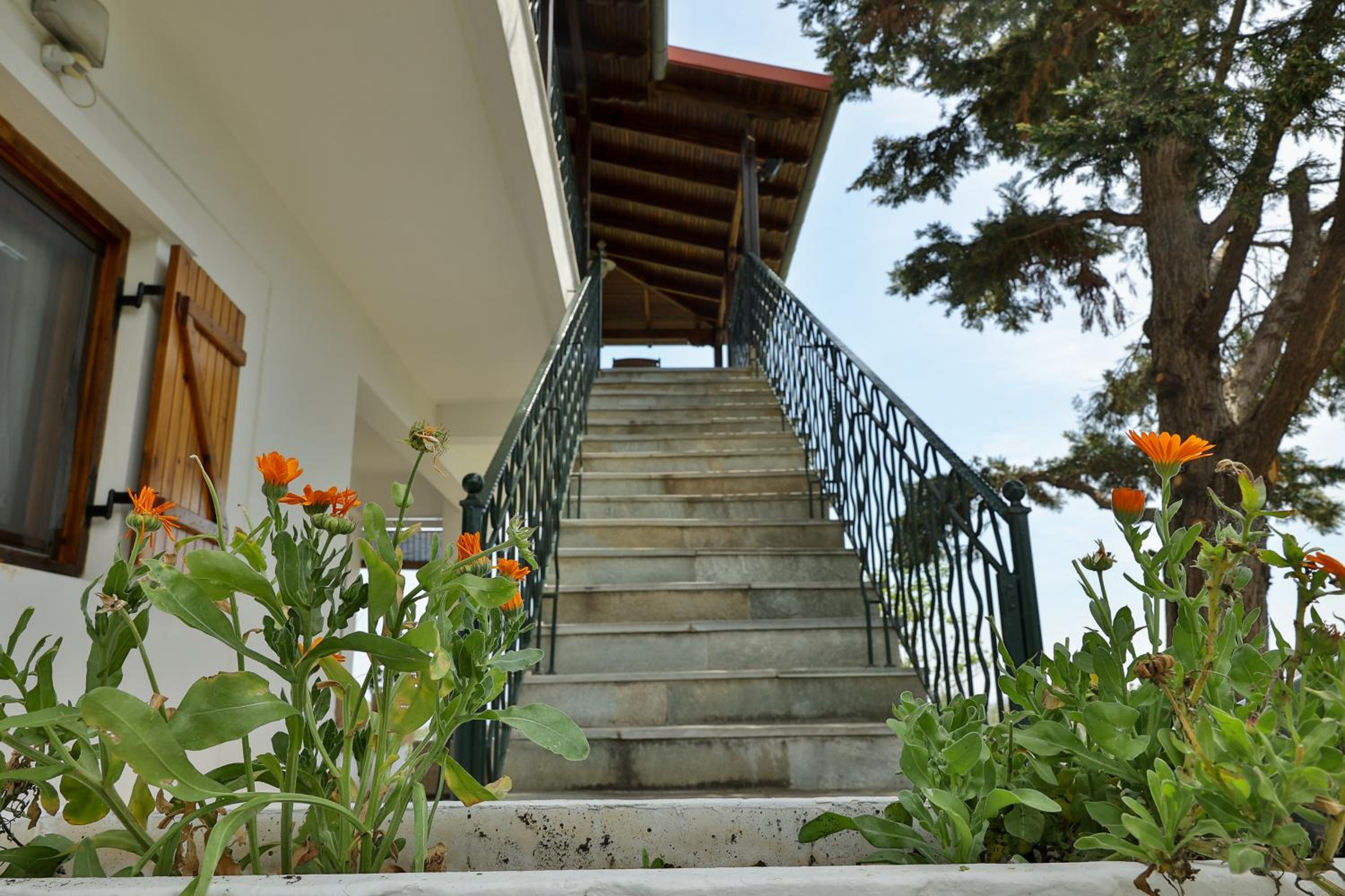OlympPlace Olive House-Ground floor
