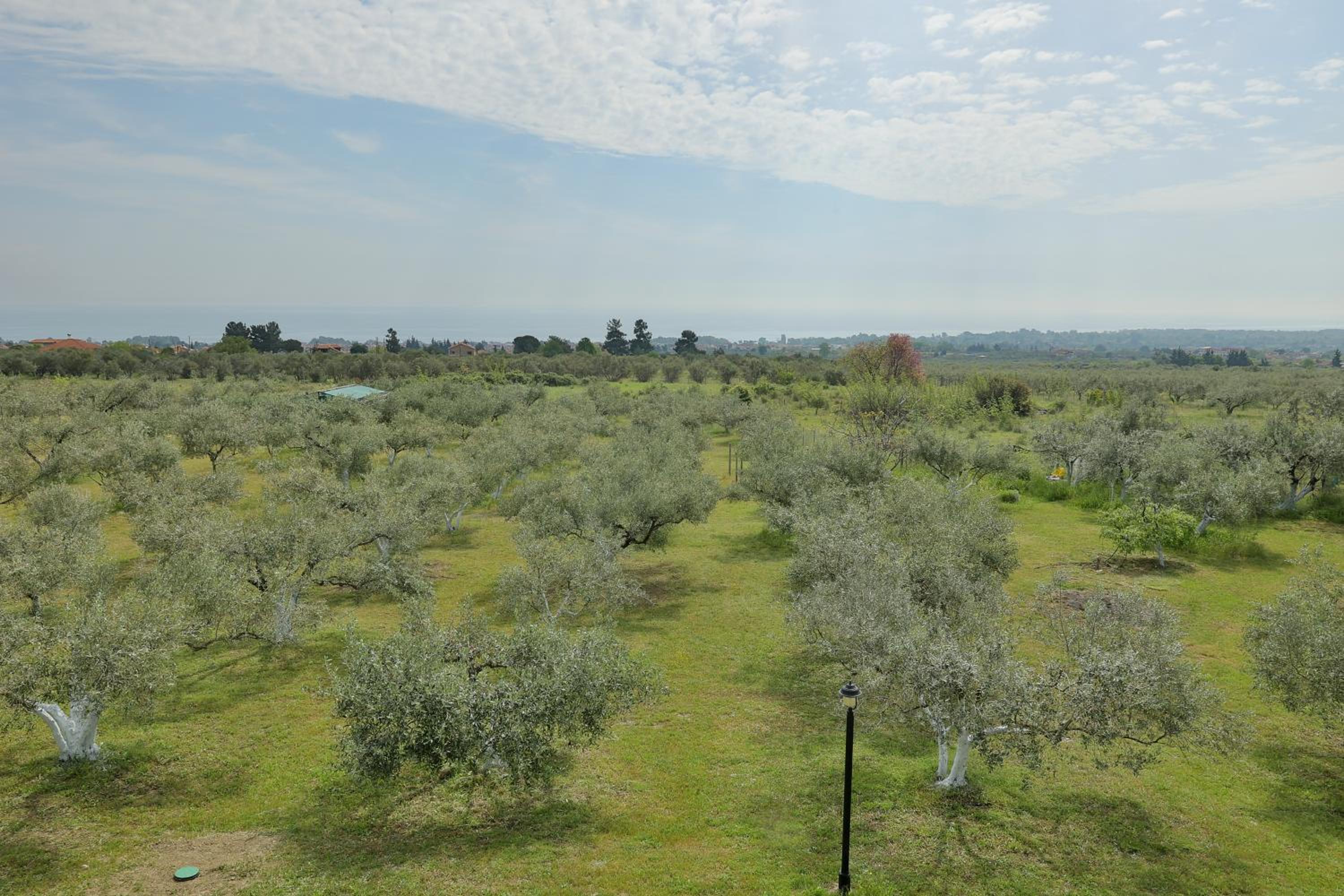OlympPlace Olive House-Ground floor