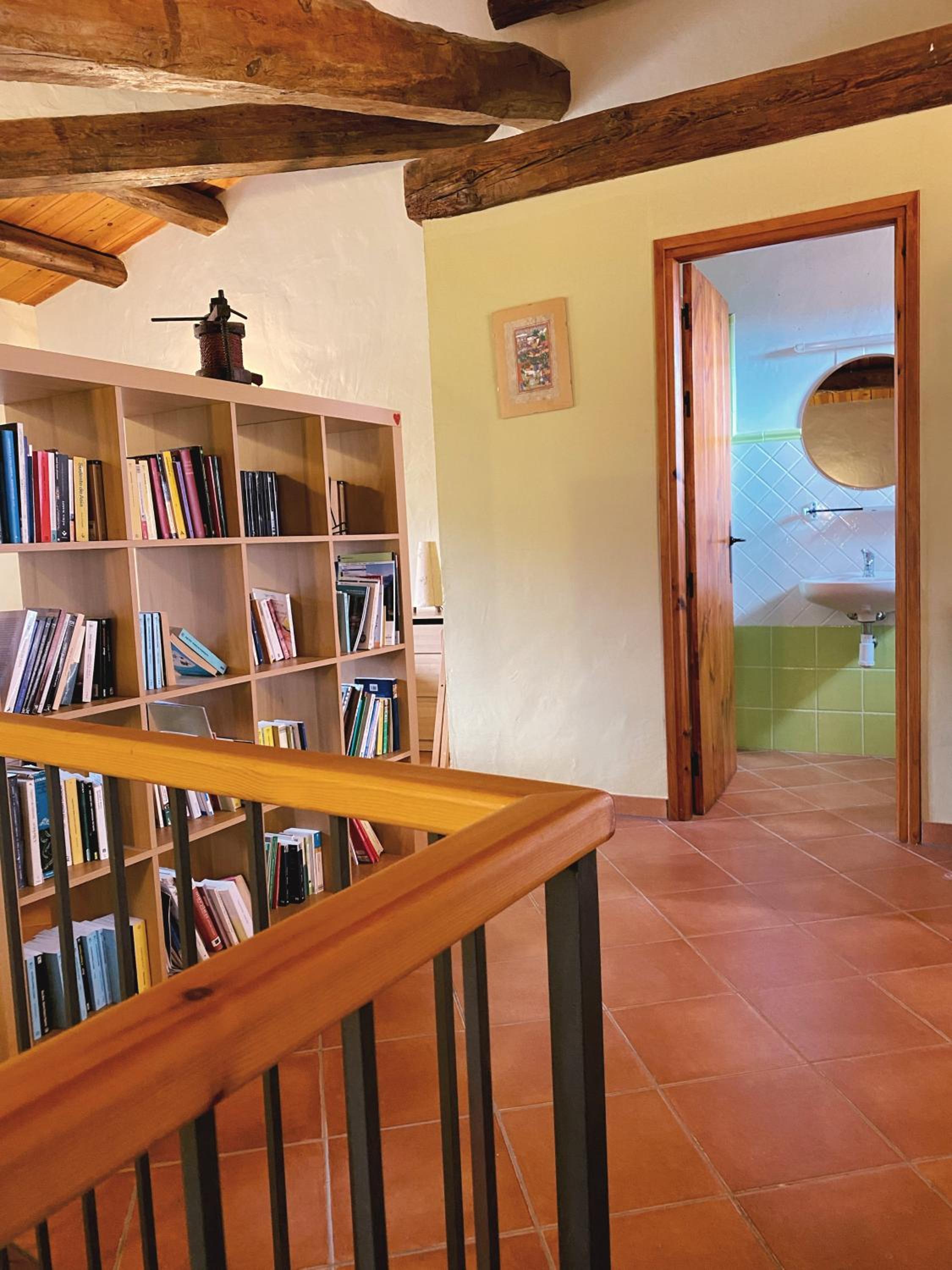 Cal Perdigués de Boada pet friendly view 5