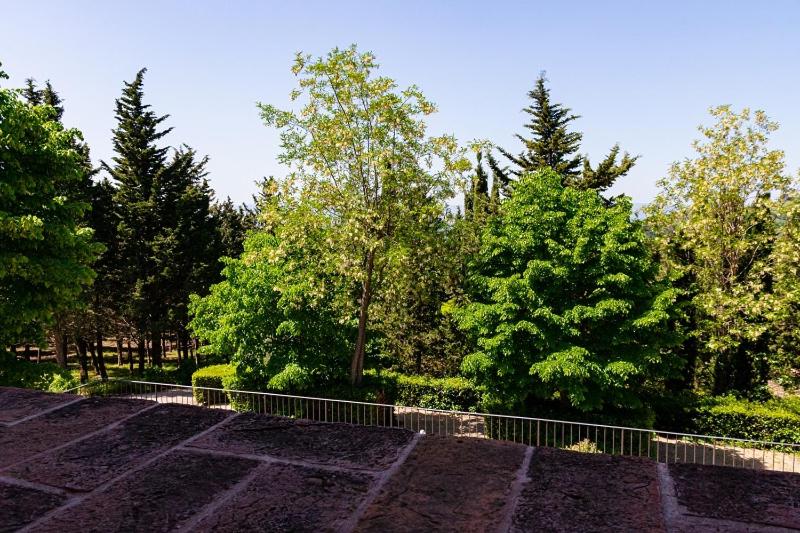 Podere Mezzastrada - Place of Charme