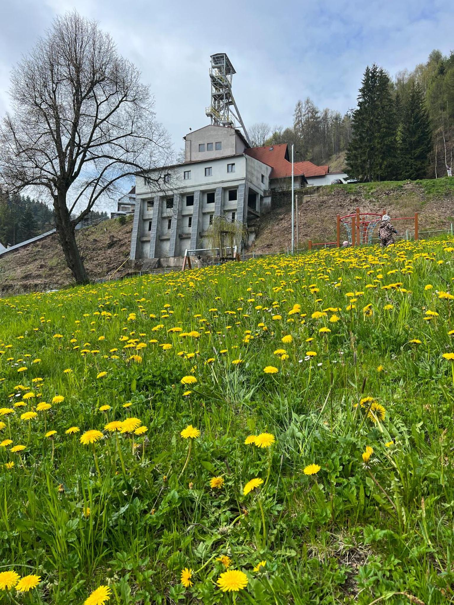 Photo 26