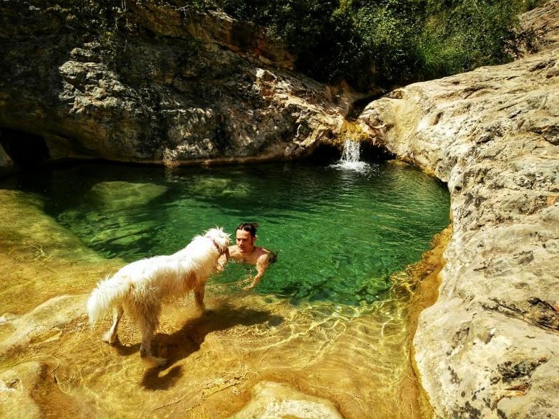 Cal Perdigués de Boada pet friendly view 2
