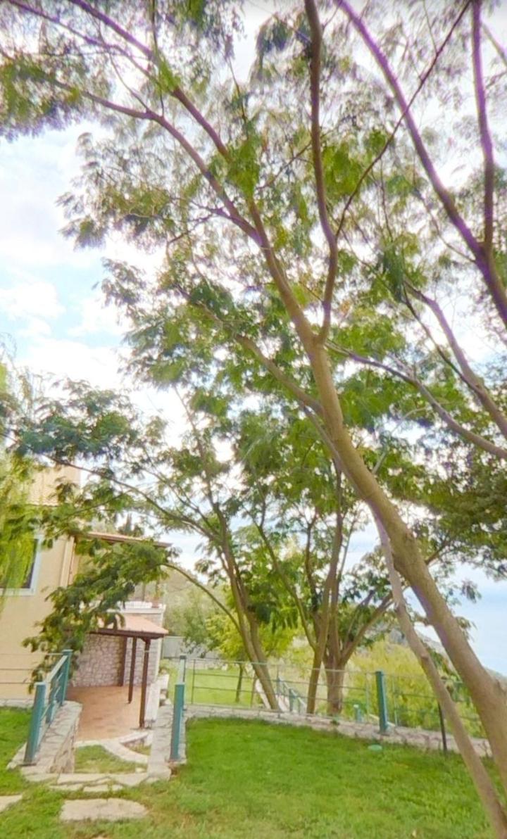 Carmel Villas