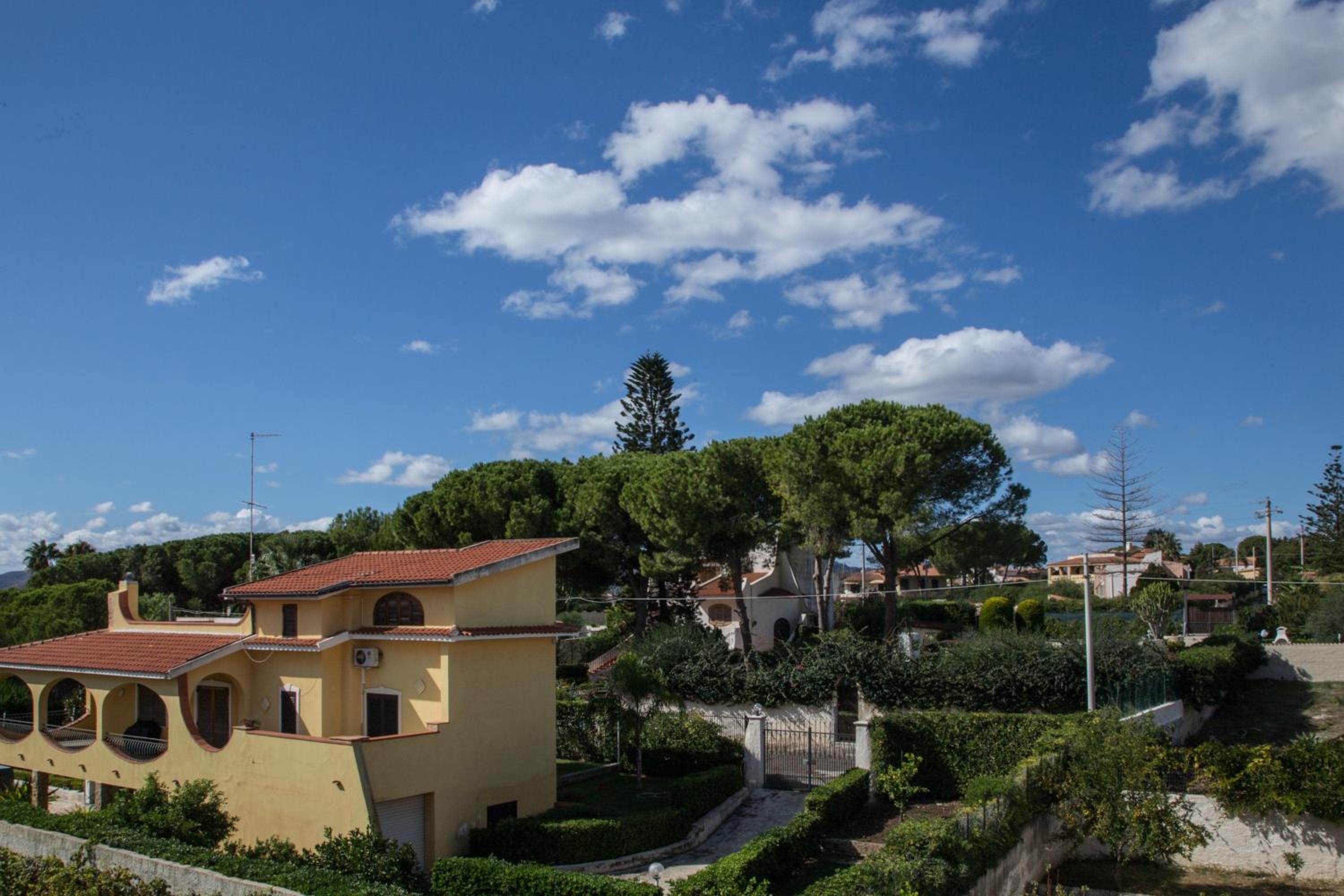 Photo 41