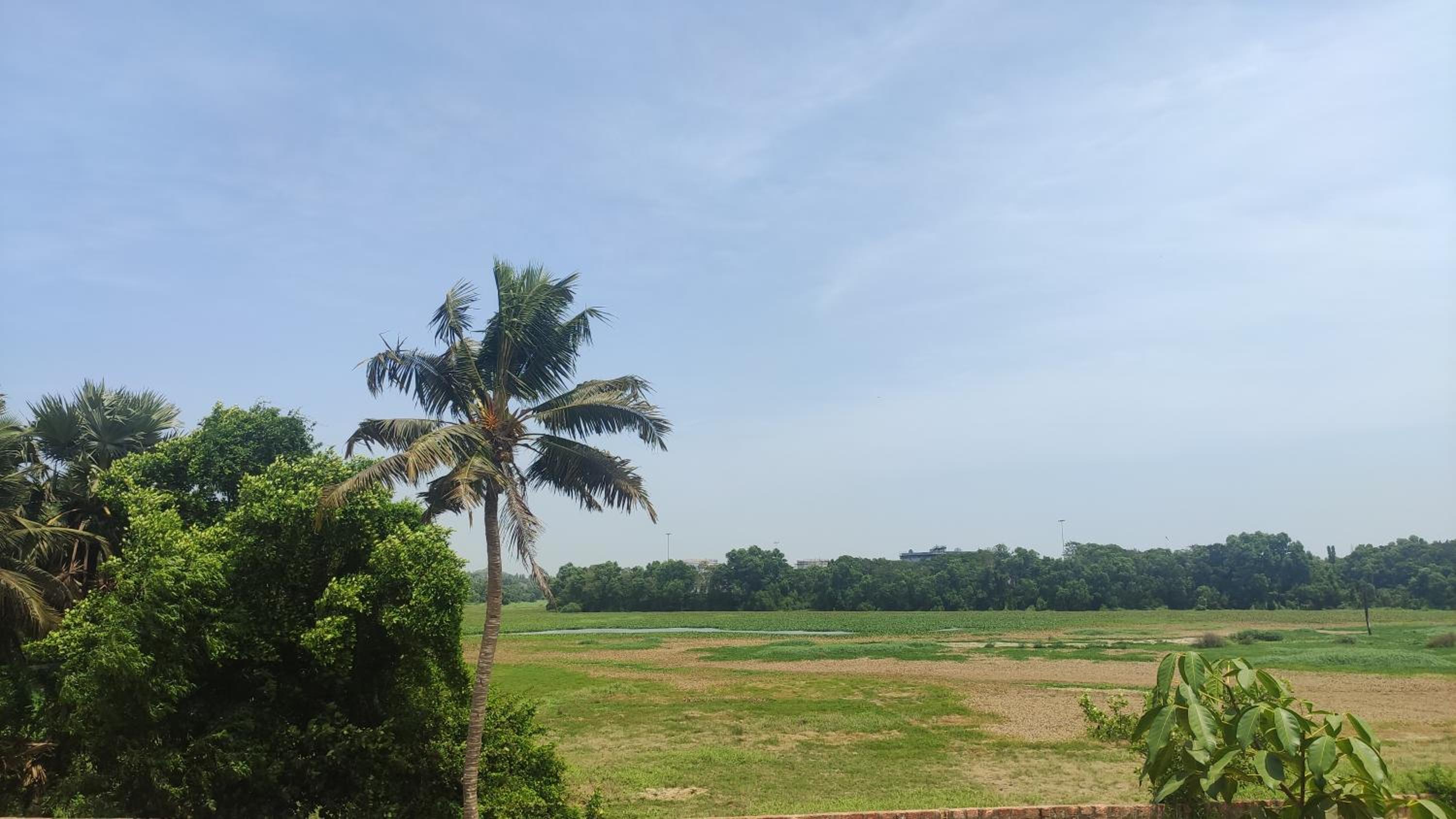 Manasvi