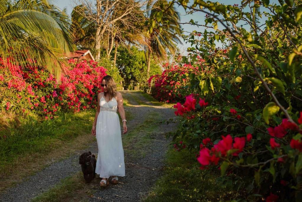 Gateway to Paradise