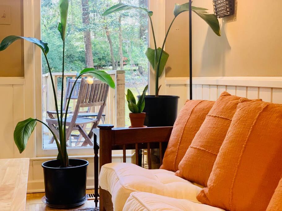 Raleigh Vacations - Modern Rancher in the Woods - Property Image 46
