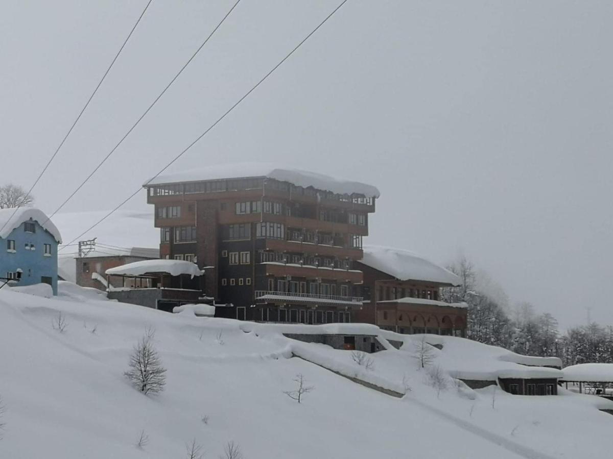 Photo 48