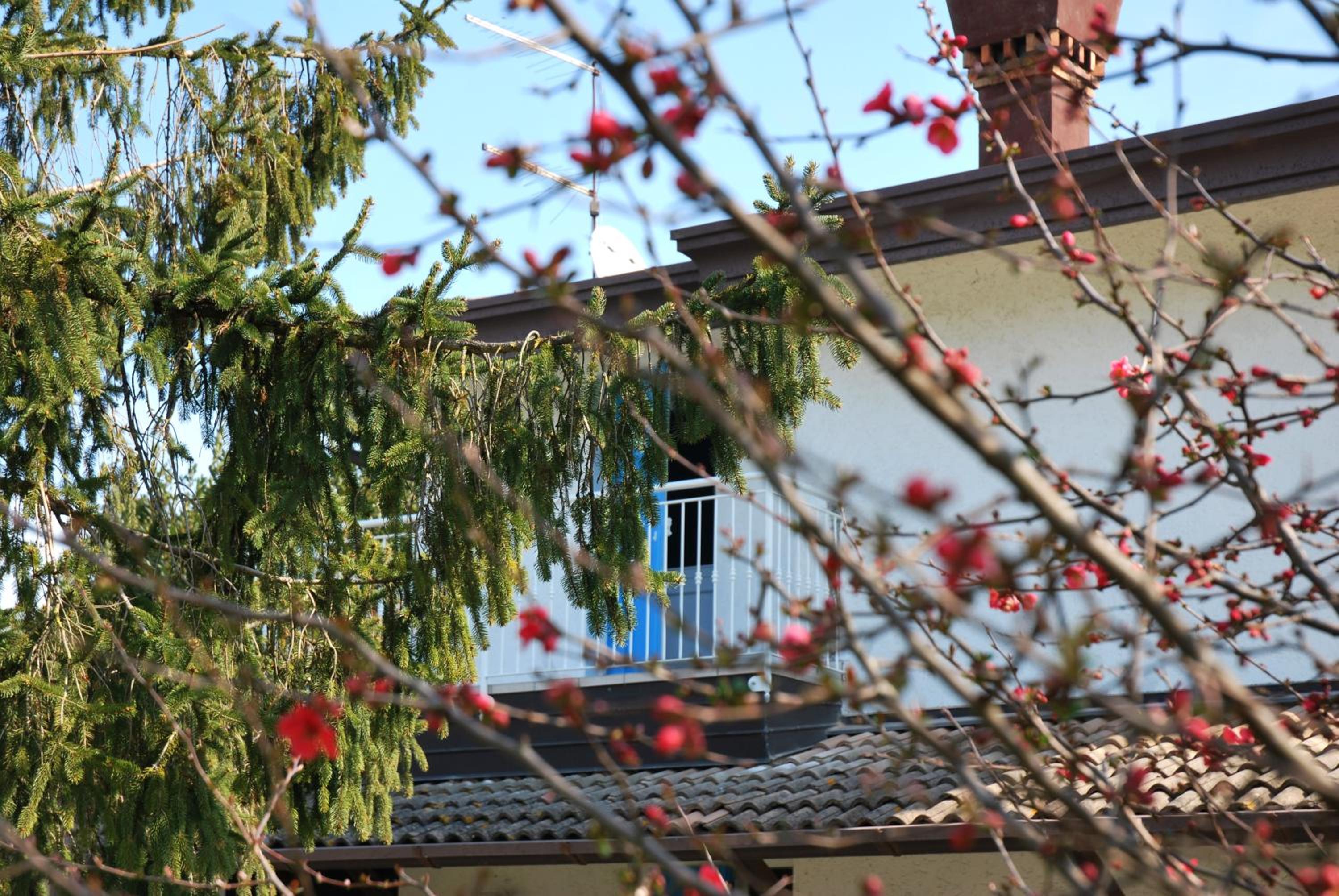 Villa Roma Holidays