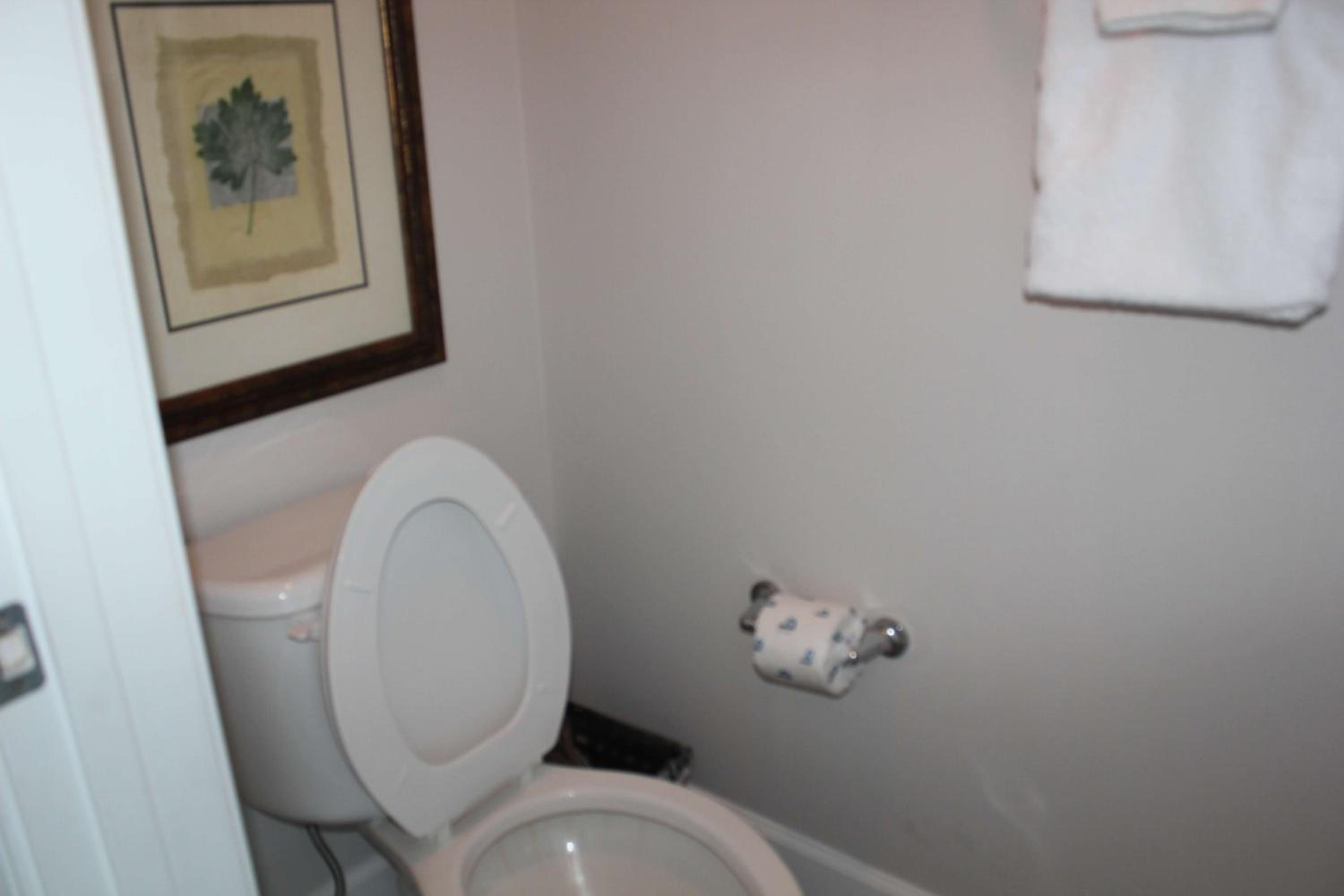 Photo 27
