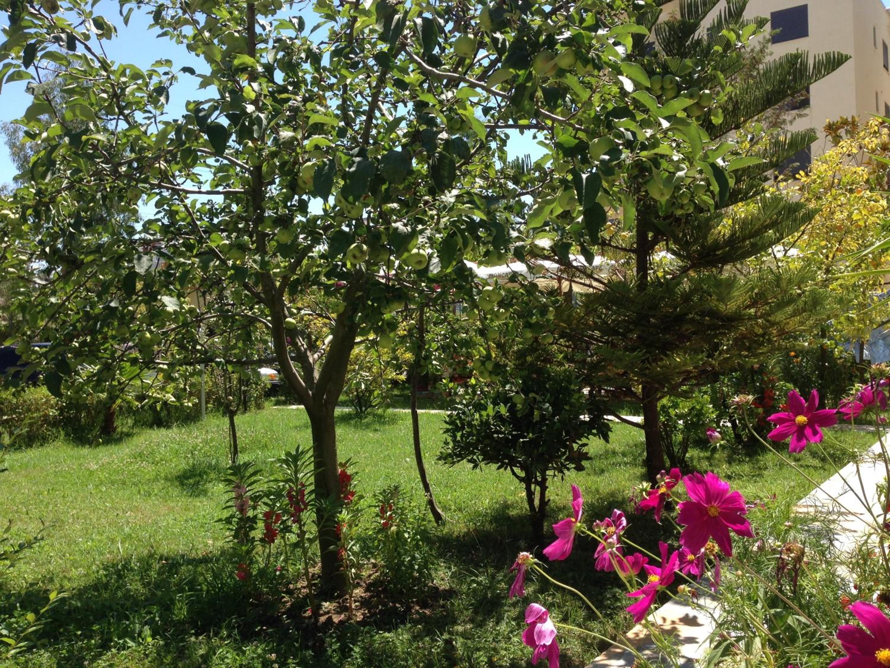 Red Rose Guest House