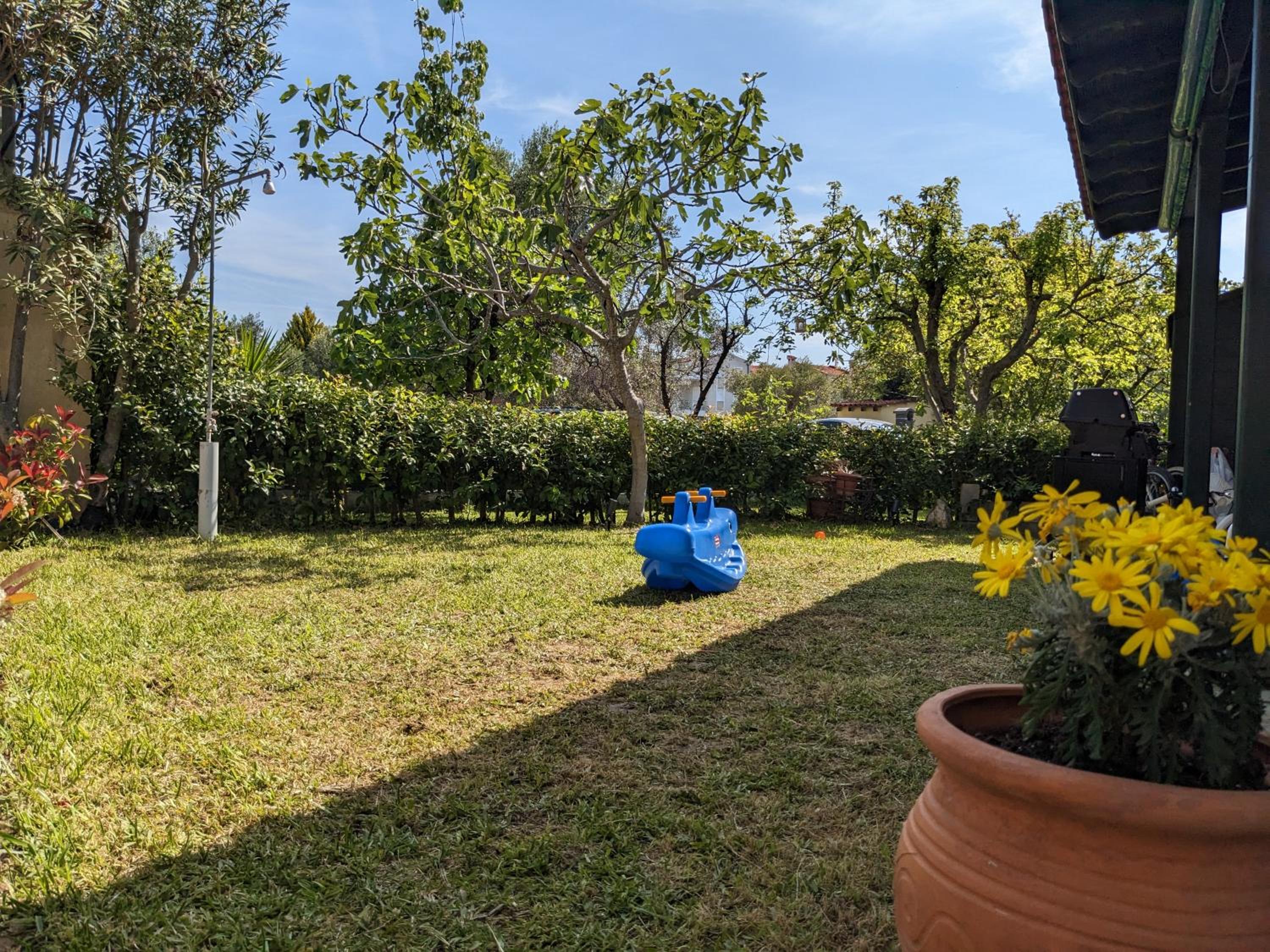Photo 34