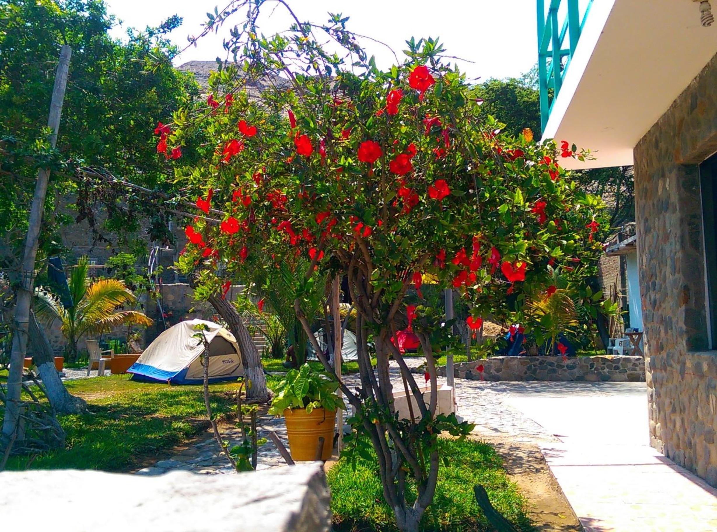 Hostal Naylamp