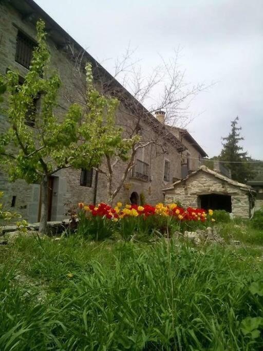 CABAÑA RURAL