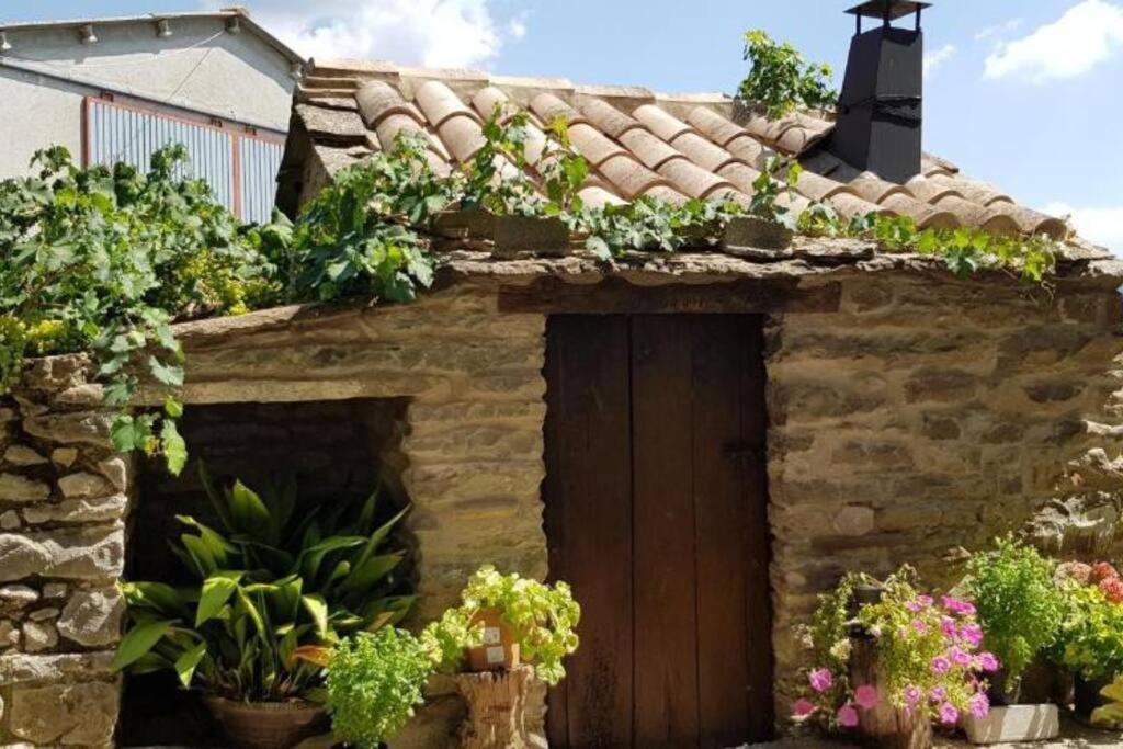 CABAÑA RURAL