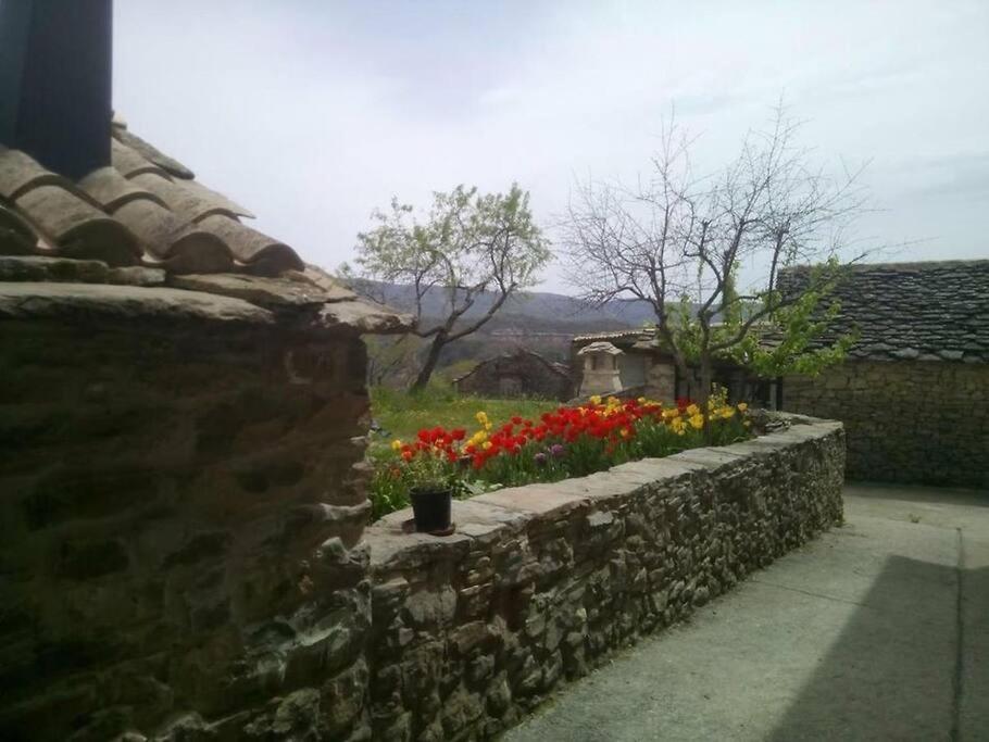 CABAÑA RURAL