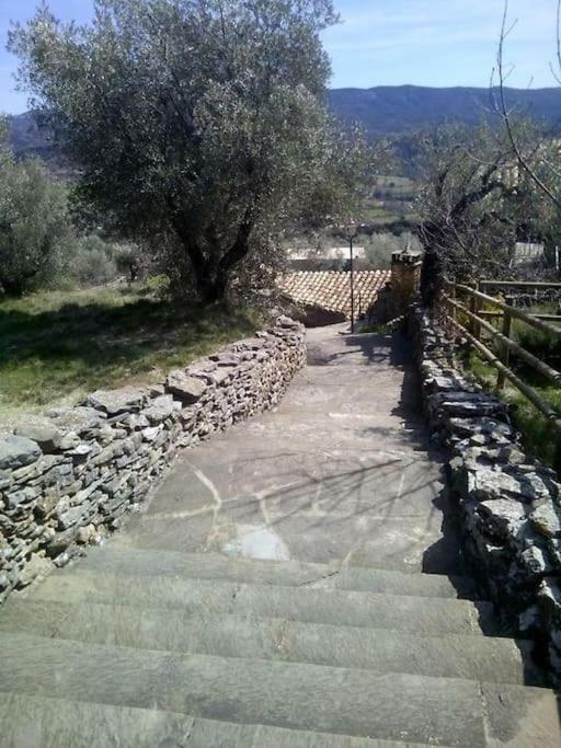 CABAÑA RURAL