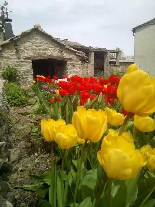 CABAÑA RURAL