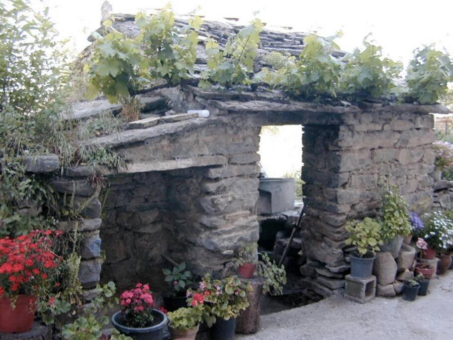 CABAÑA RURAL