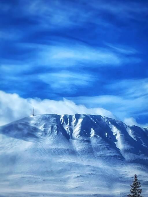 Stor hytte med 4 soverom og panoramautsikt over Tinnsjøen ved Rjukan og Gaustatoppen
