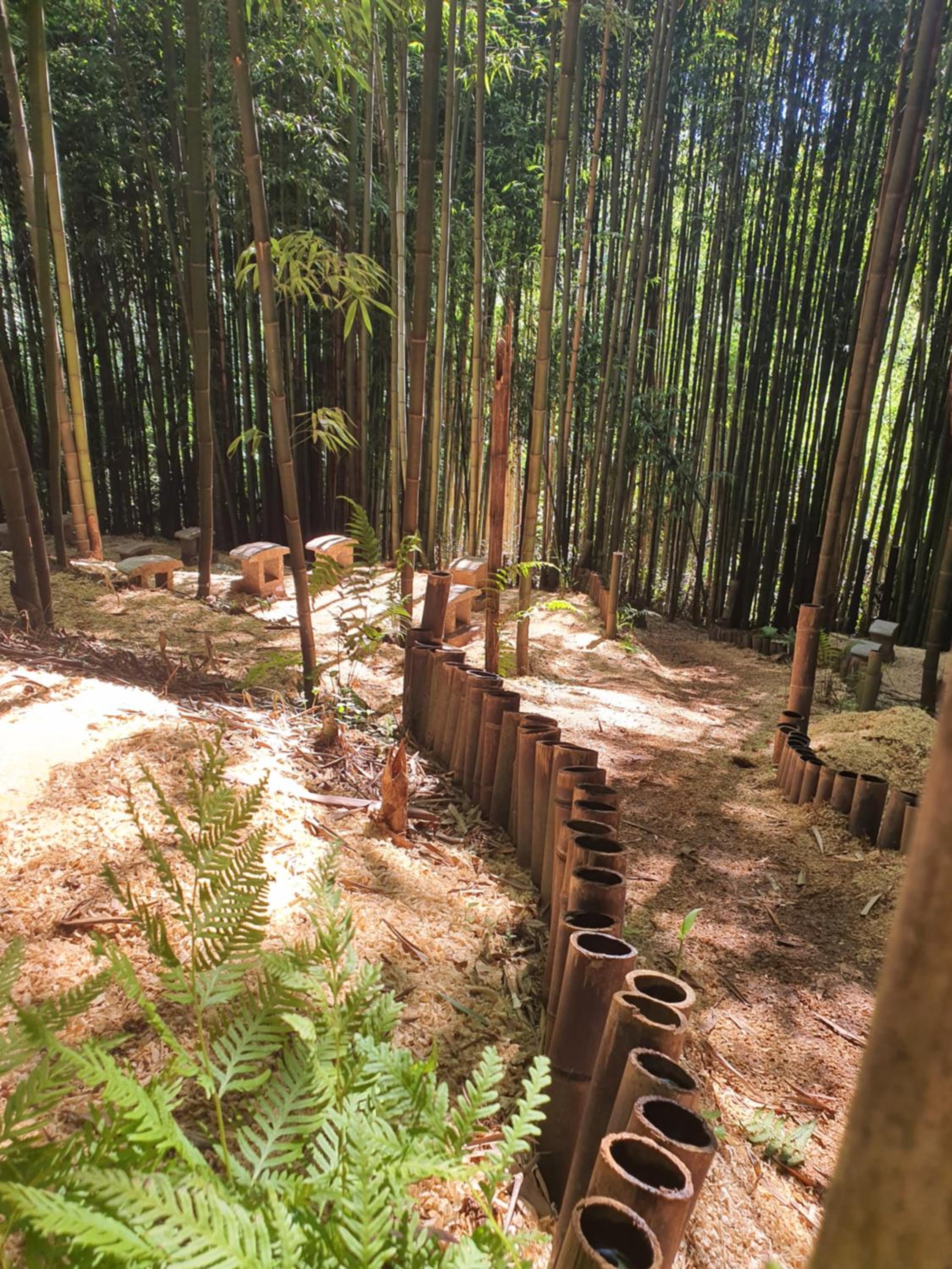 Photo 41