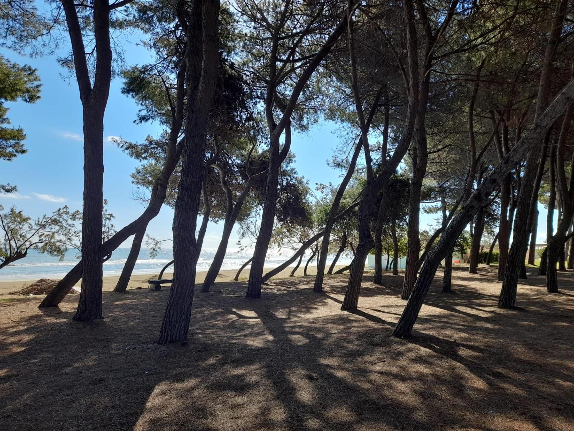 Il garusolo view 4