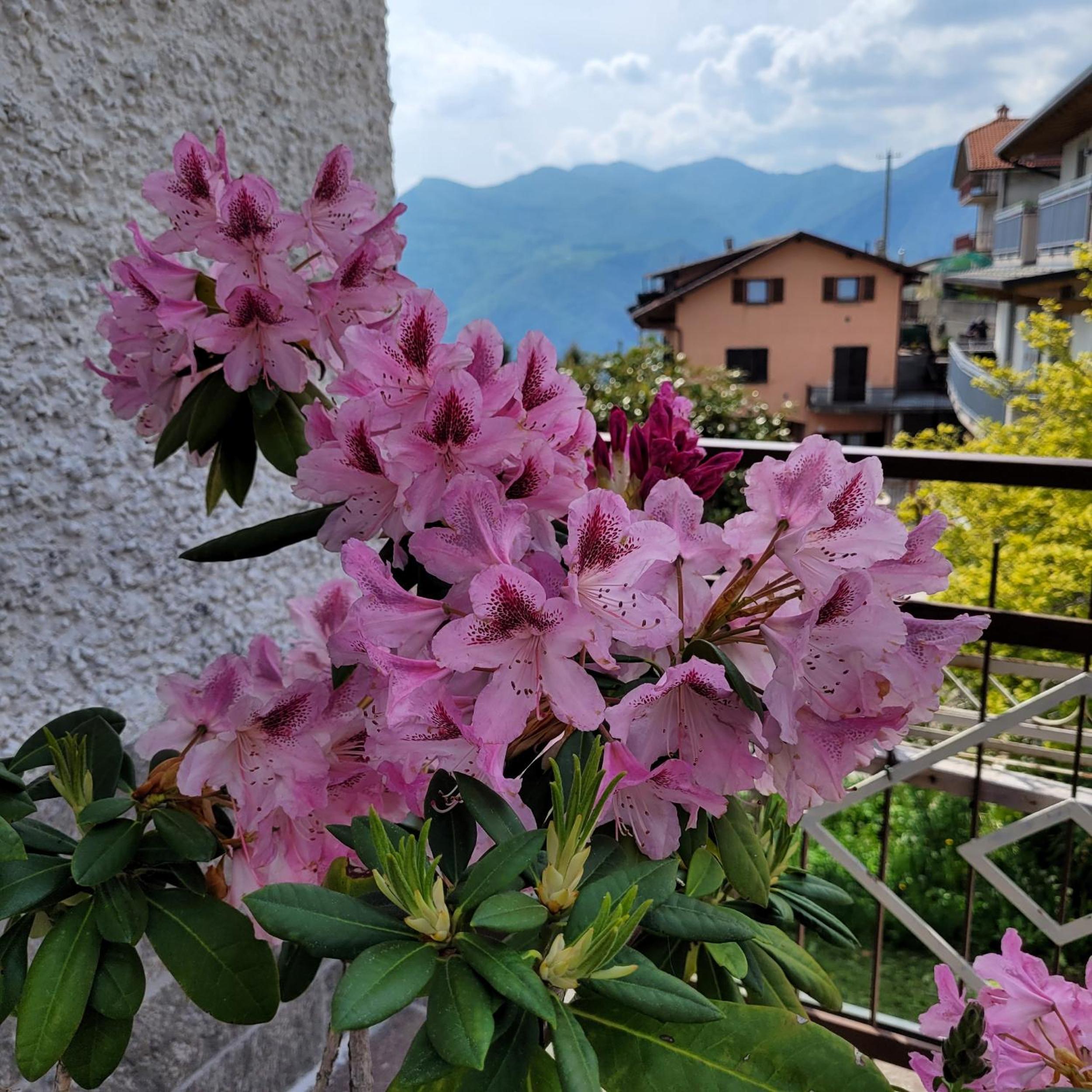 La Mansardina sul lago Mountain Lake Iseo Hospitality view 4
