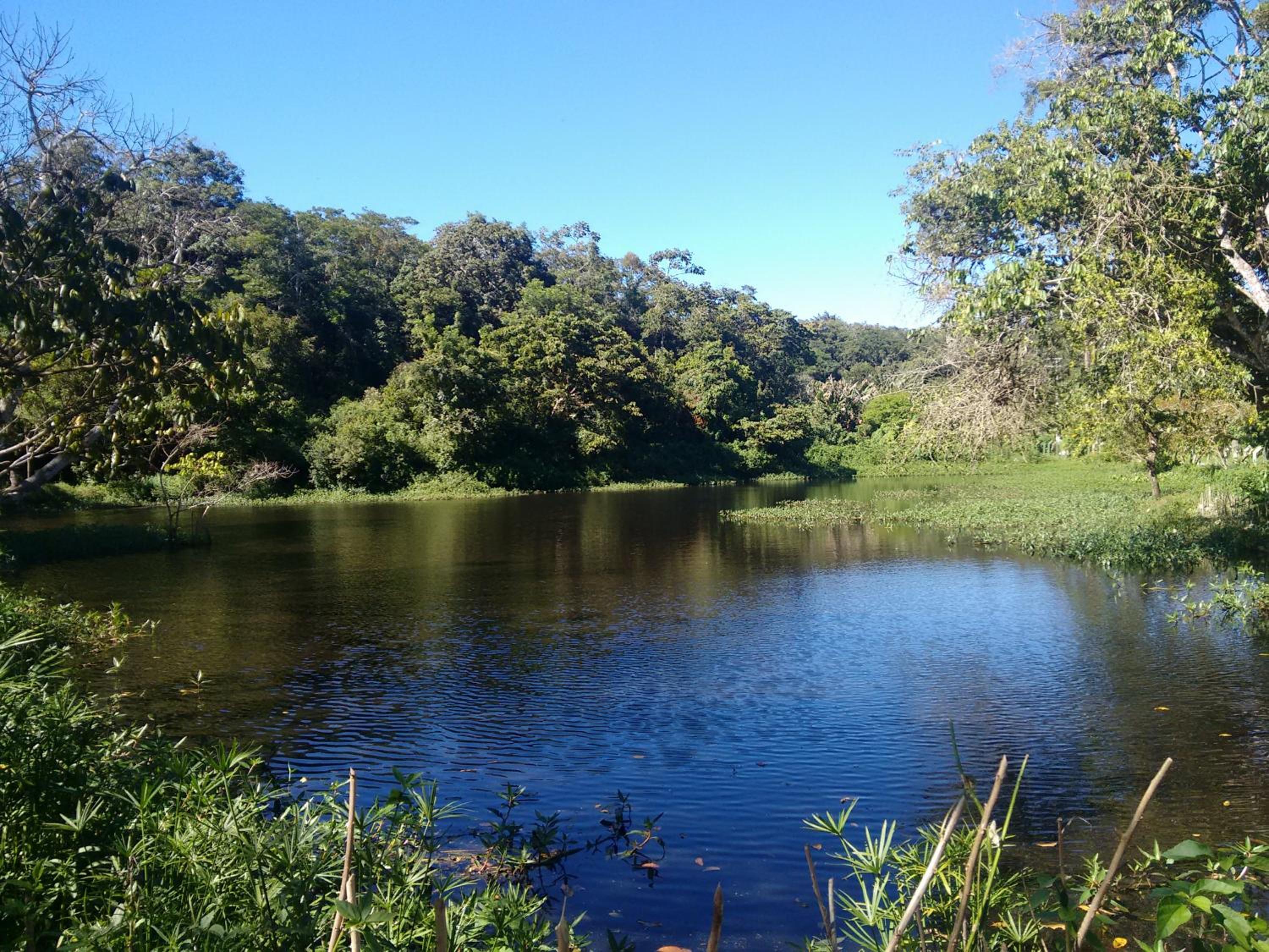 Sítio Via Láctea - Guaramiranga