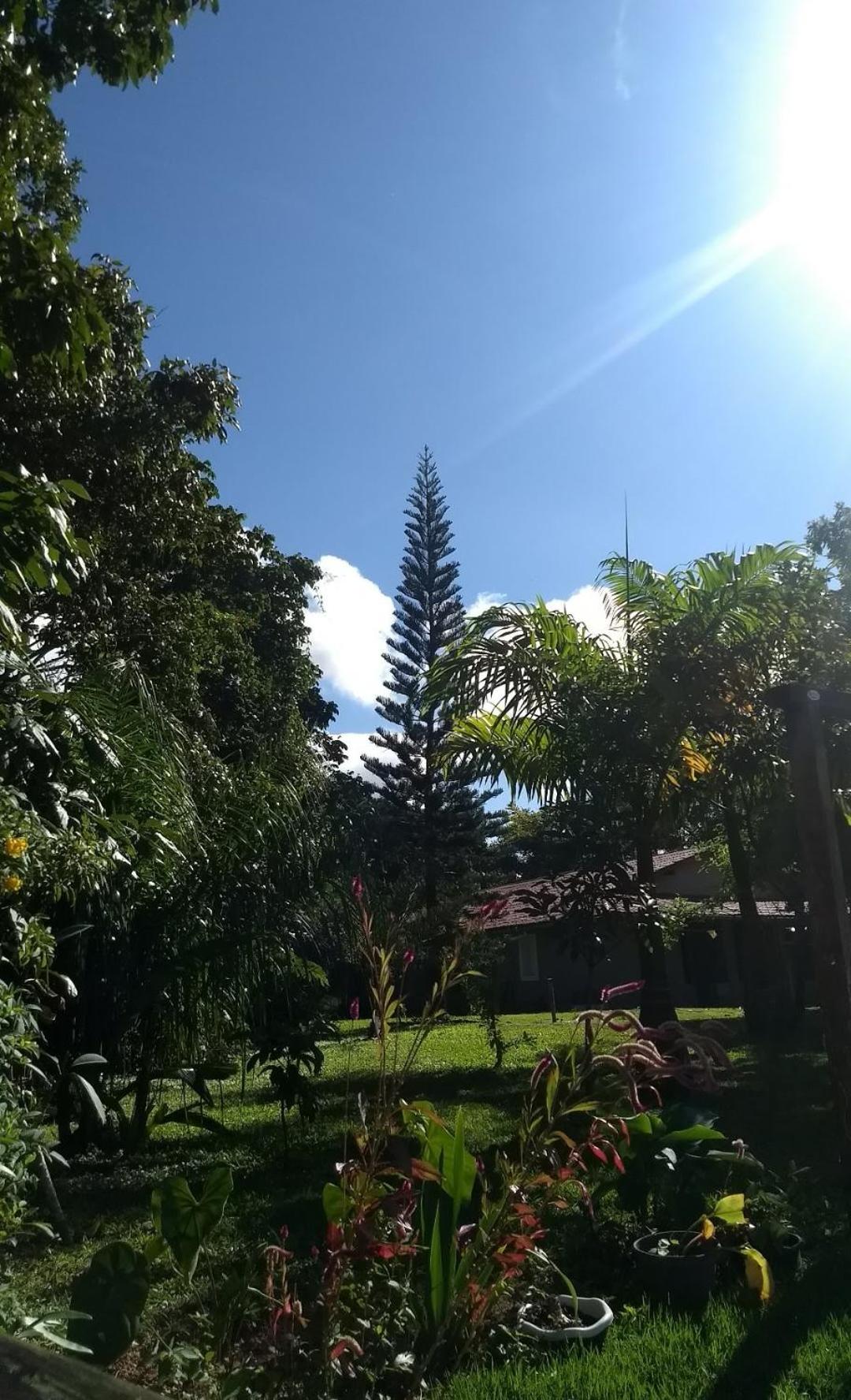 Sítio Via Láctea - Guaramiranga