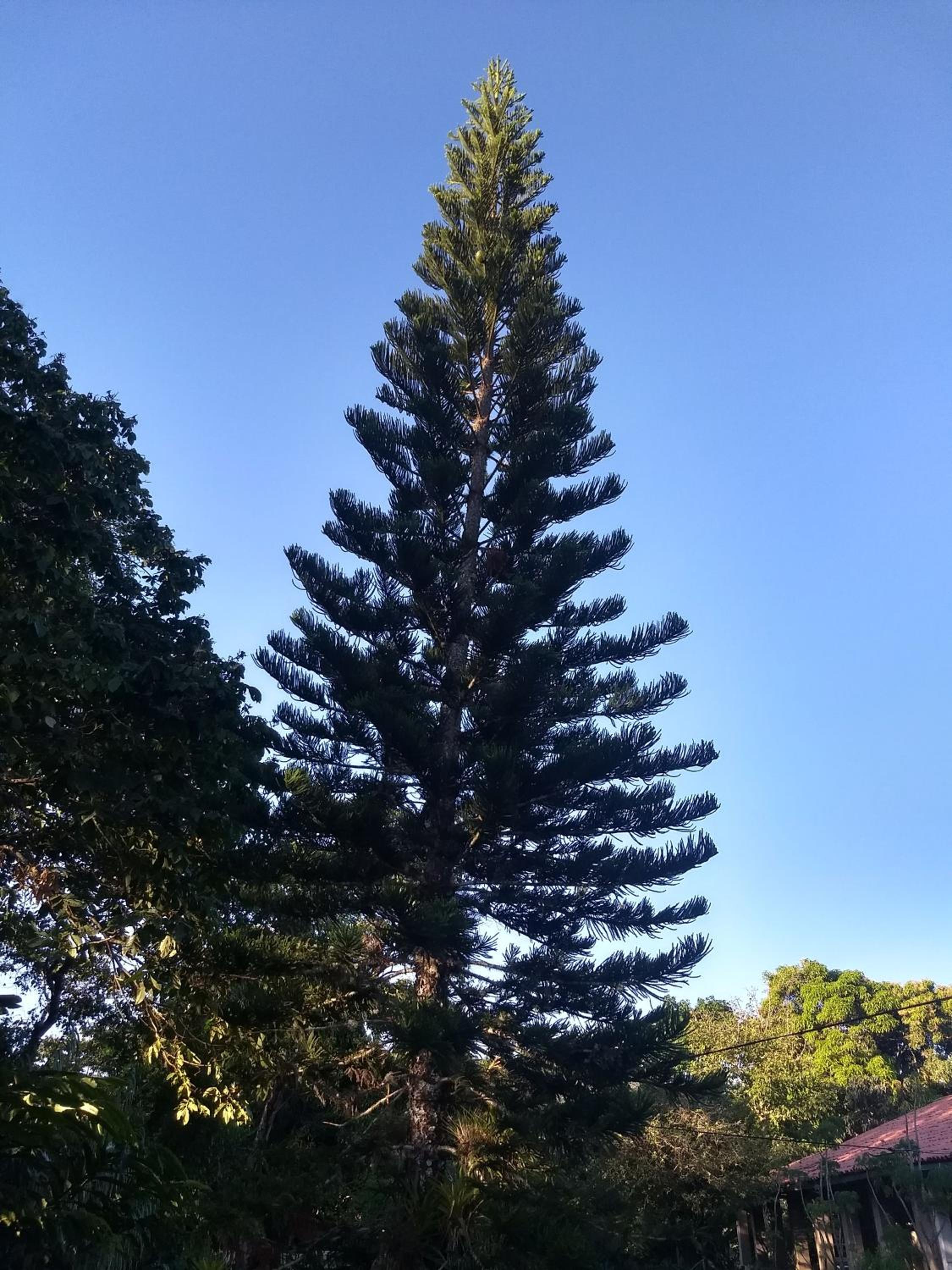 Sítio Via Láctea - Guaramiranga
