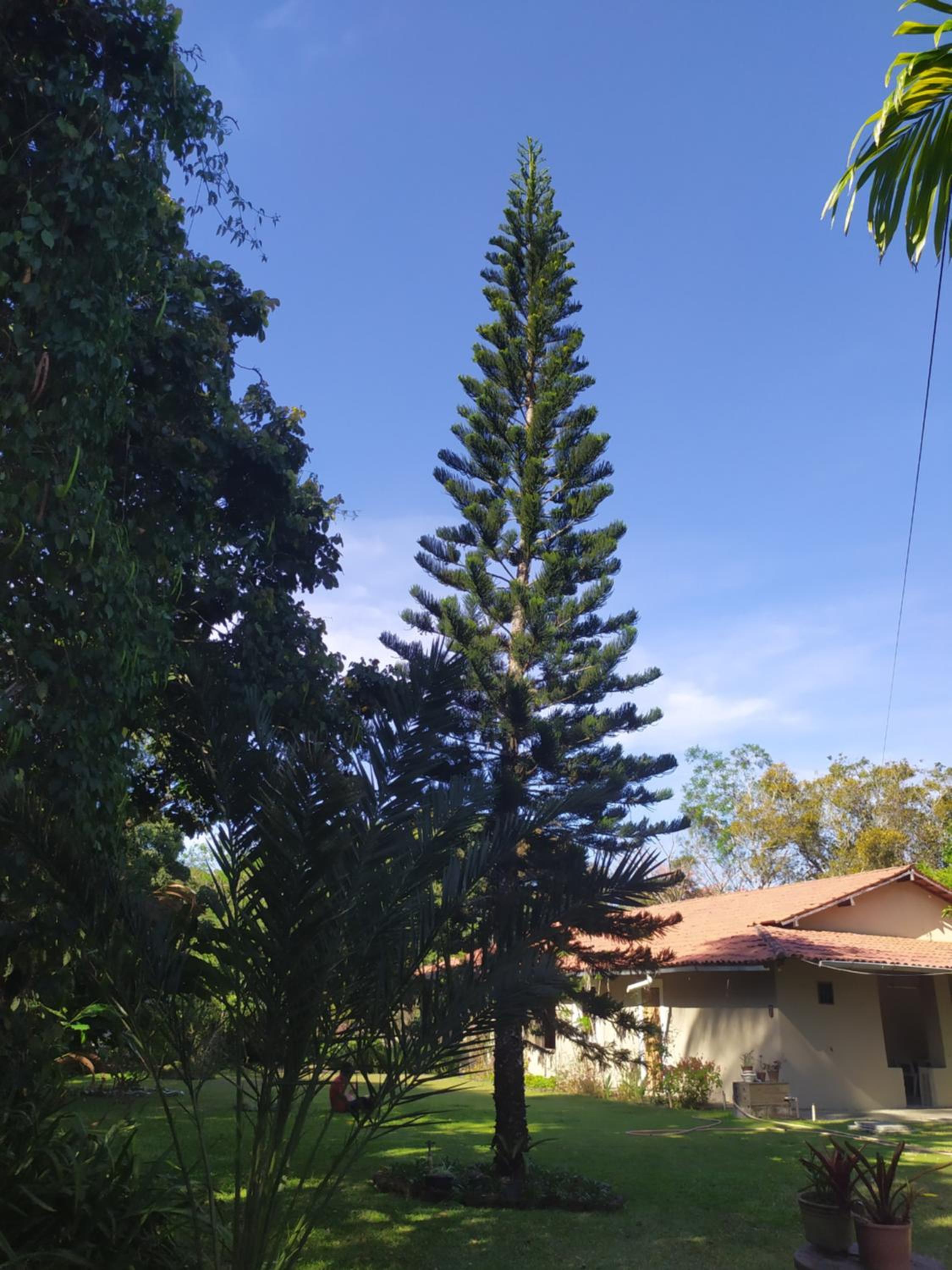 Sítio Via Láctea - Guaramiranga