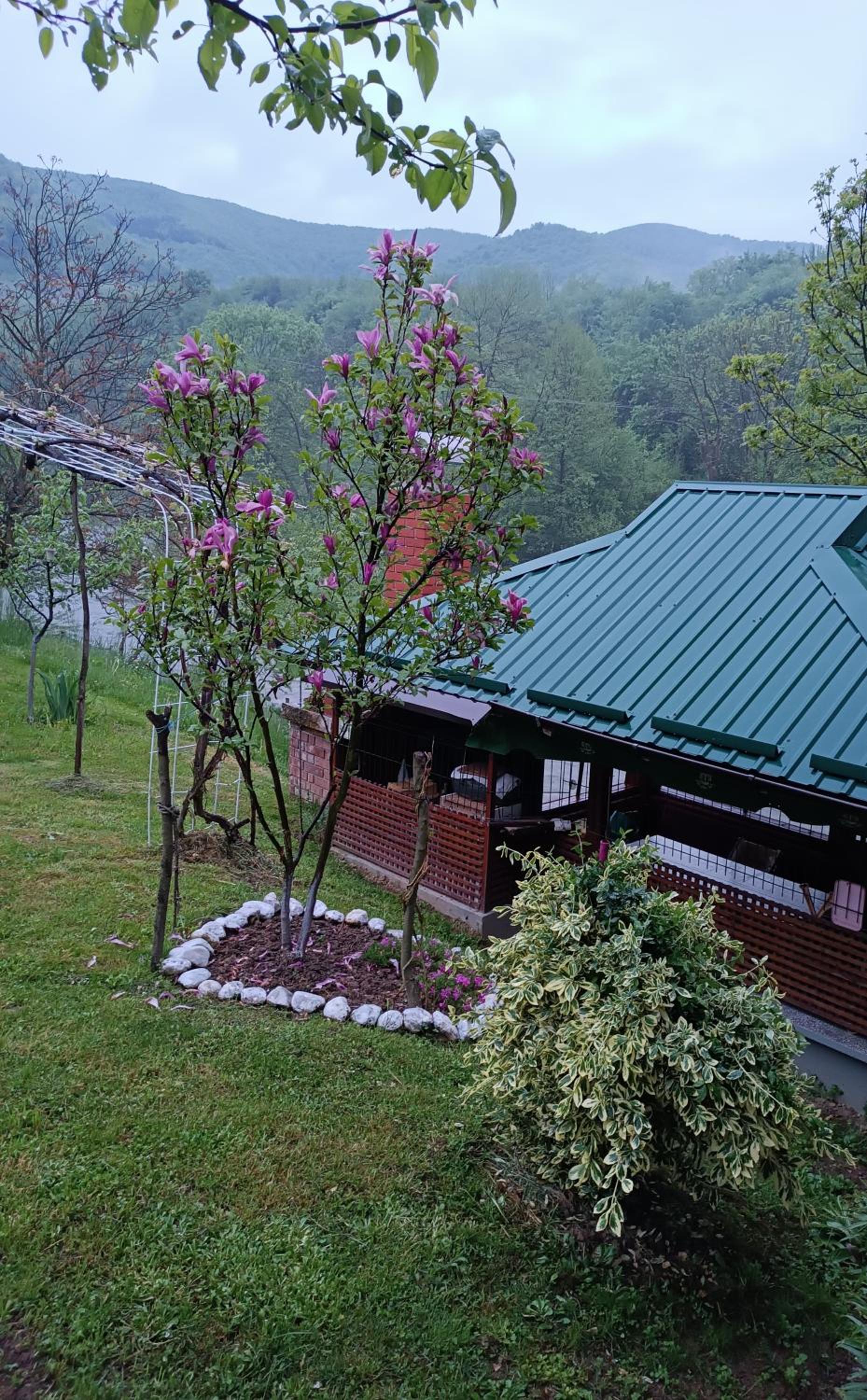 Silent home
