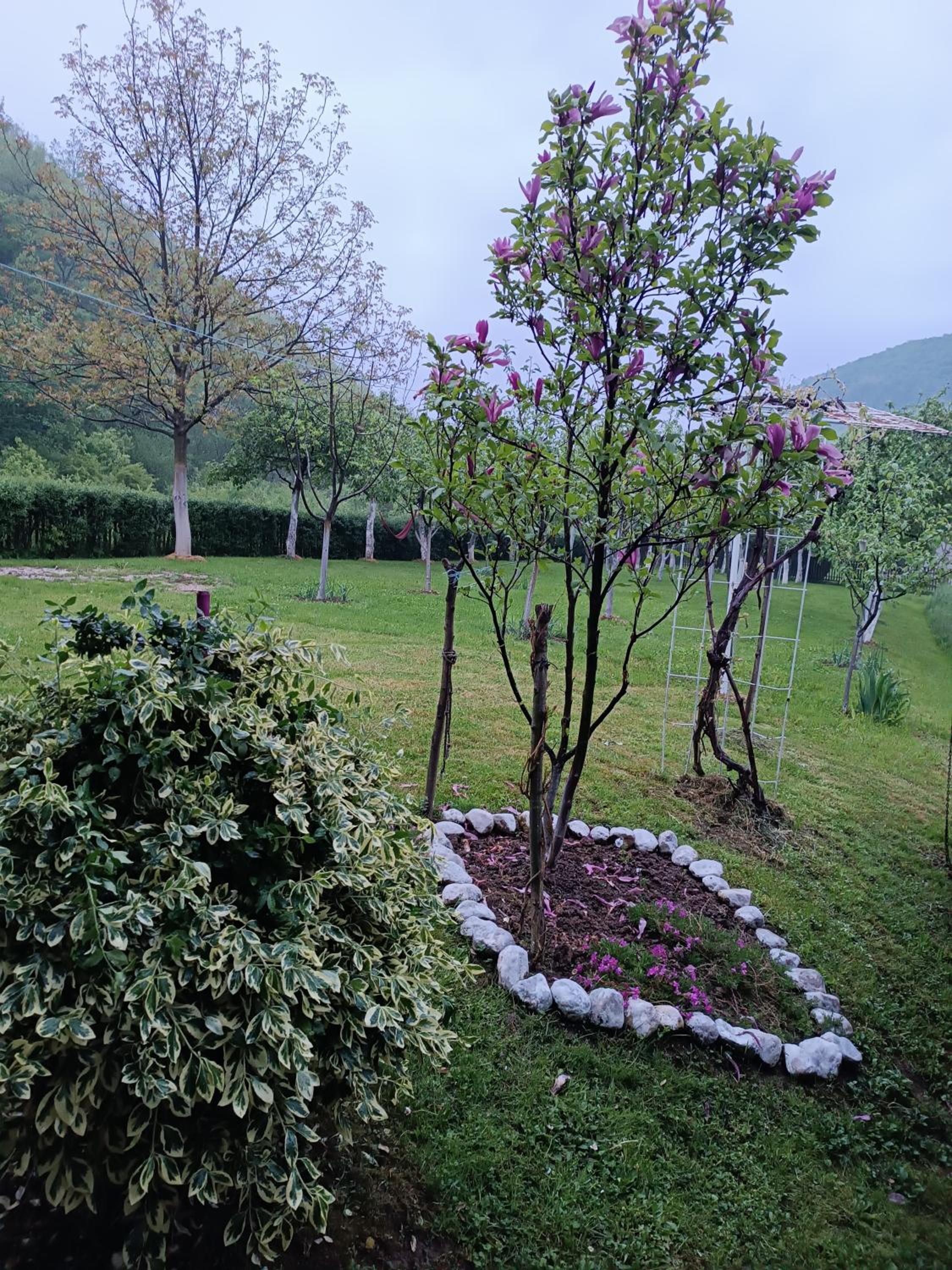 Silent home