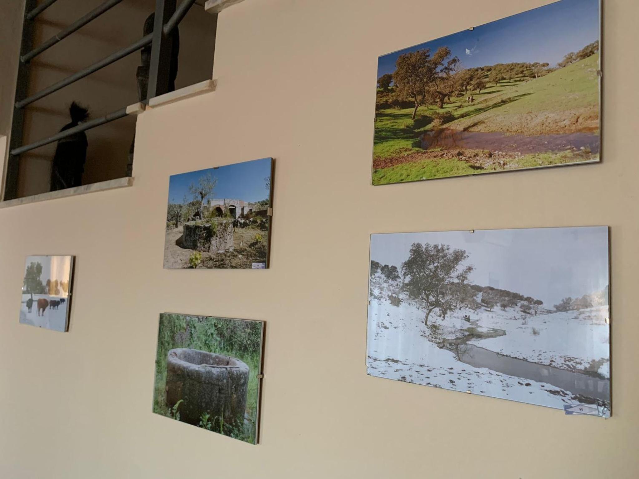APARTAMENTO TURÍSTICO EL ESQUILÓN