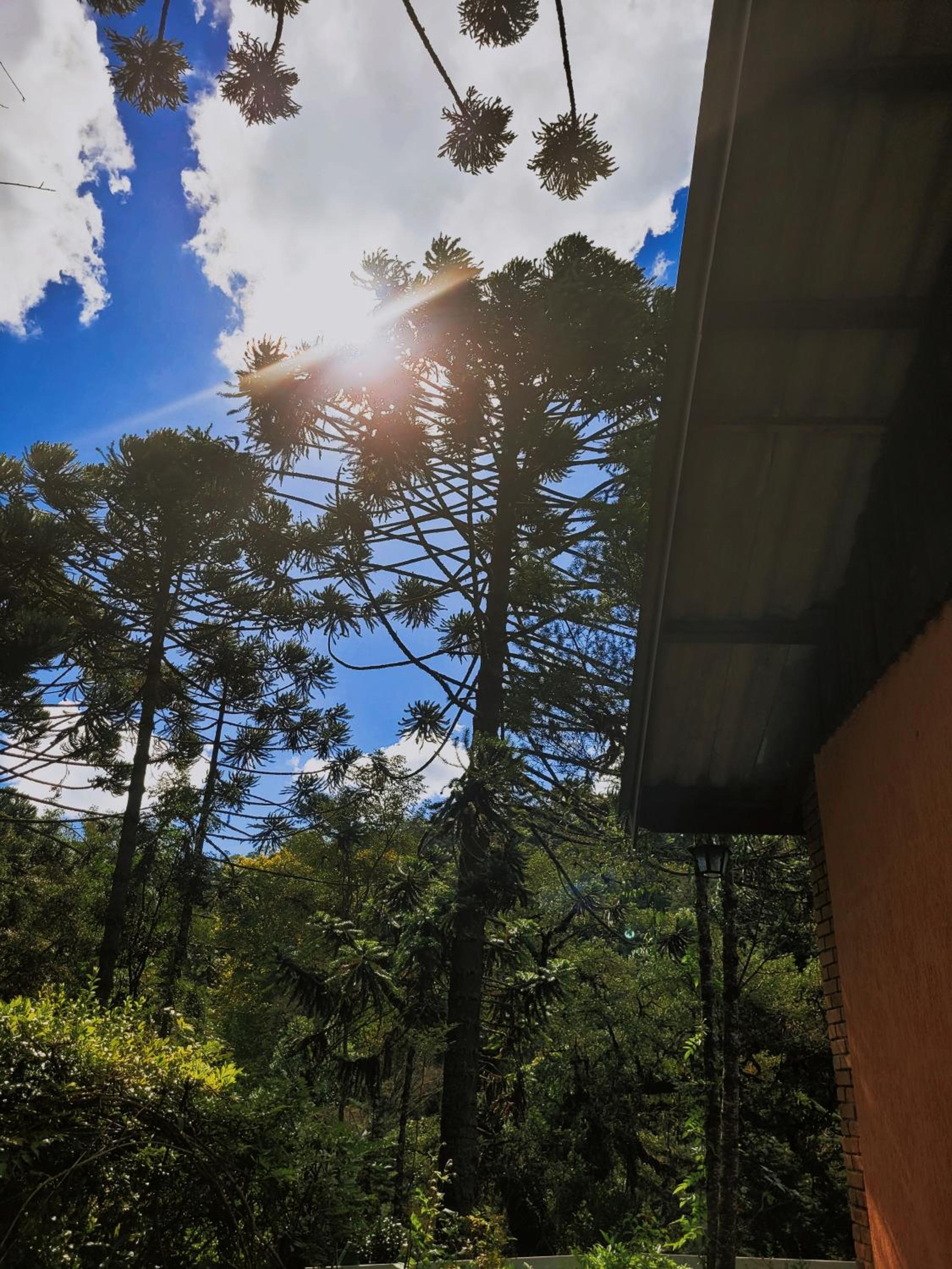 Casa em Campos do Jordão - 3 quartos, com churrasqueira