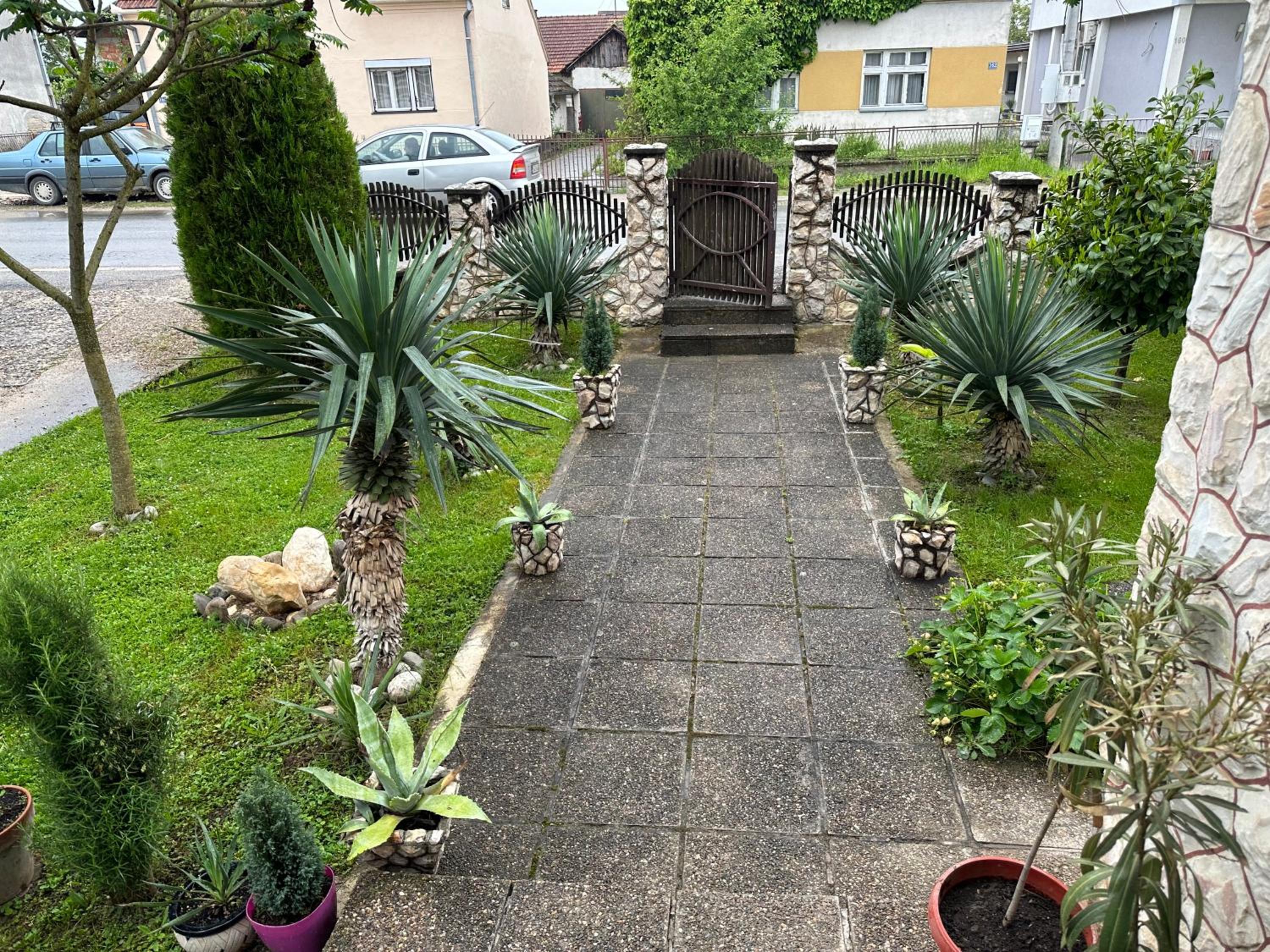 Photo 12