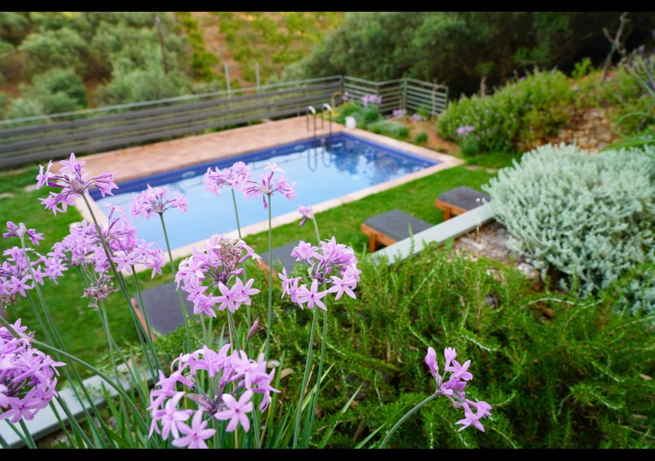 Physis Villas Chania