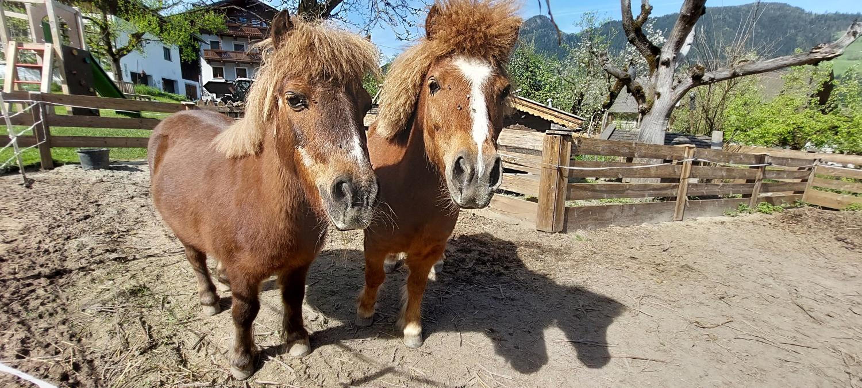 Brixnerhof im Zillertal
