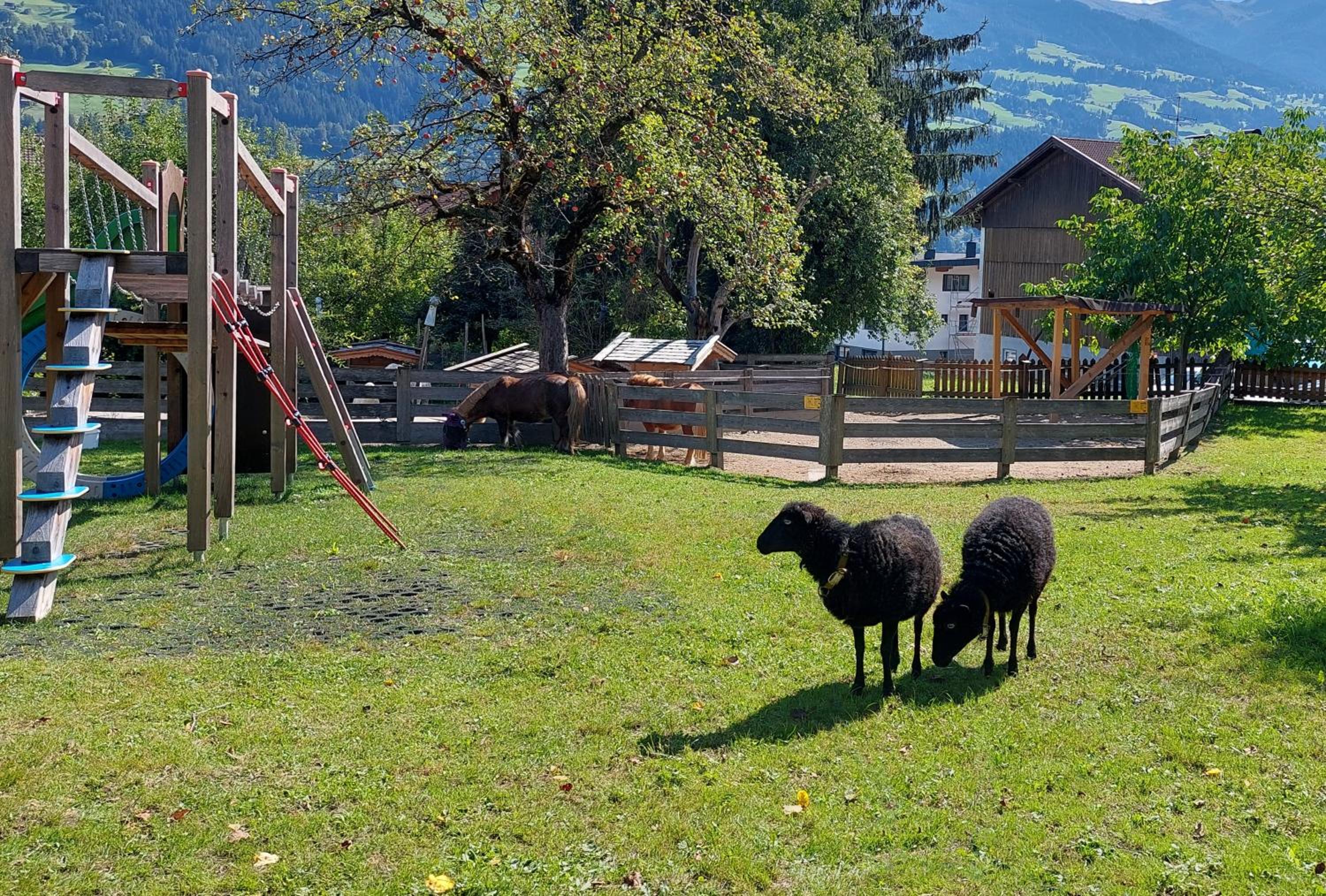 Brixnerhof im Zillertal