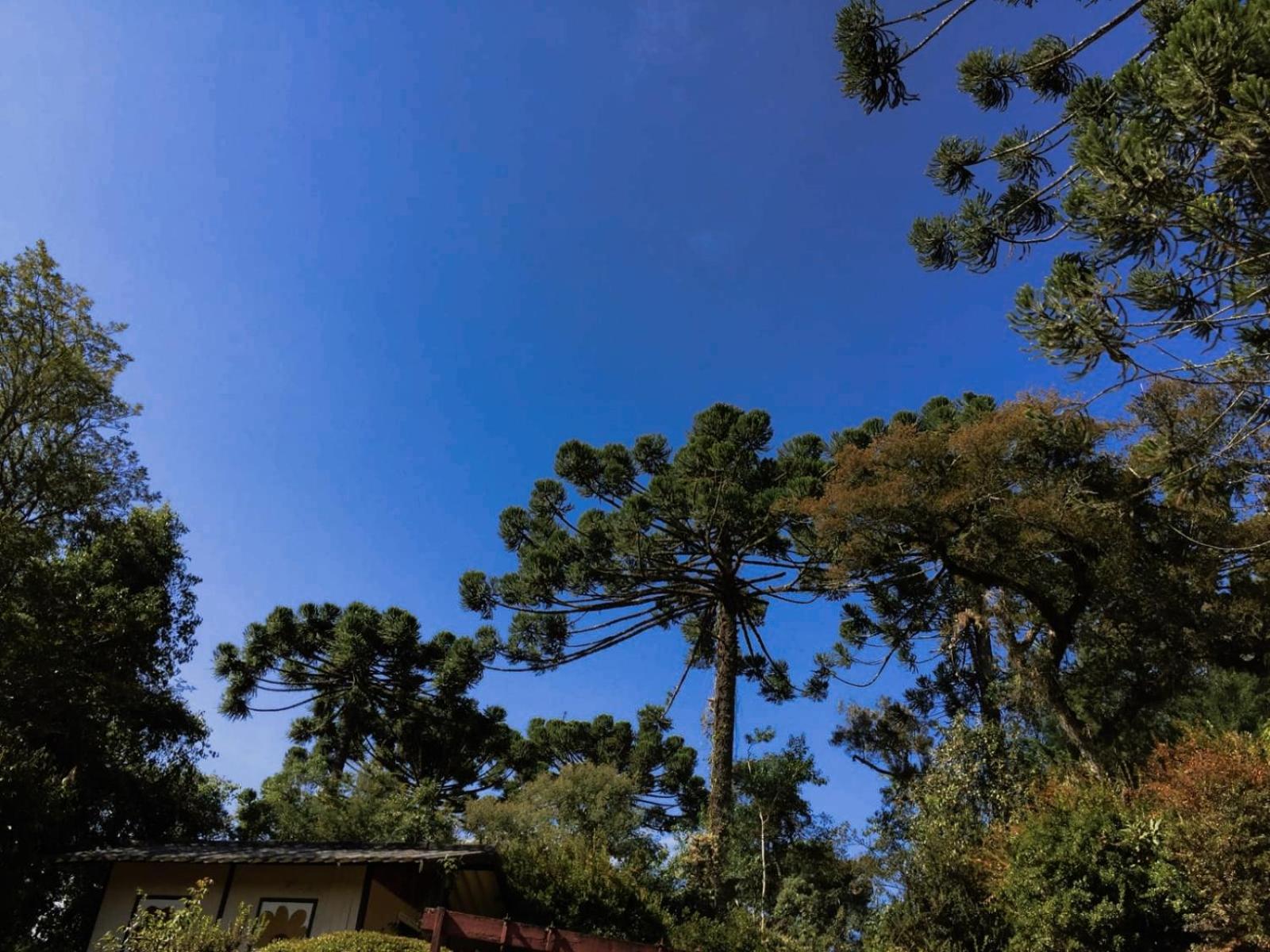 Casa em Campos do Jordão - 3 quartos, com churrasqueira