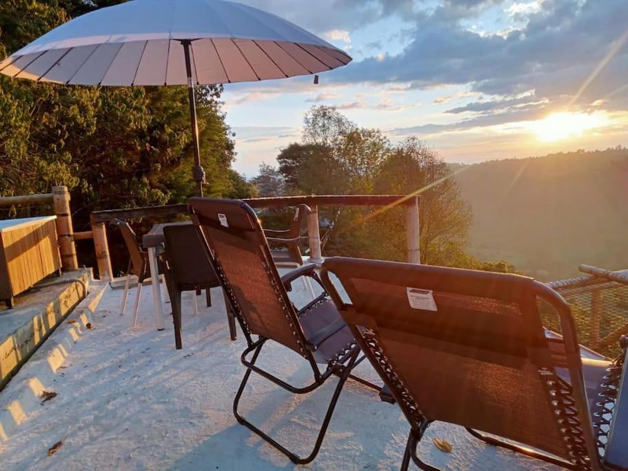 glamping & Eco-Cabaña Salento Hakunamatata Pumba view 5