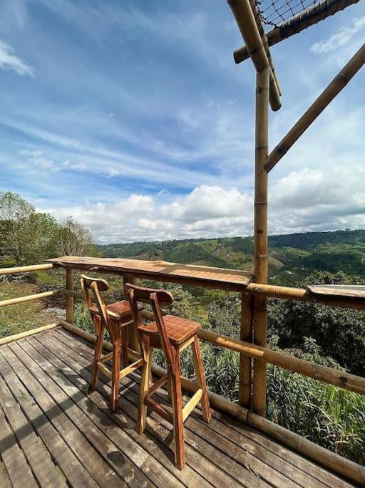 glamping & Eco-Cabaña Salento Hakunamatata Pumba view 4