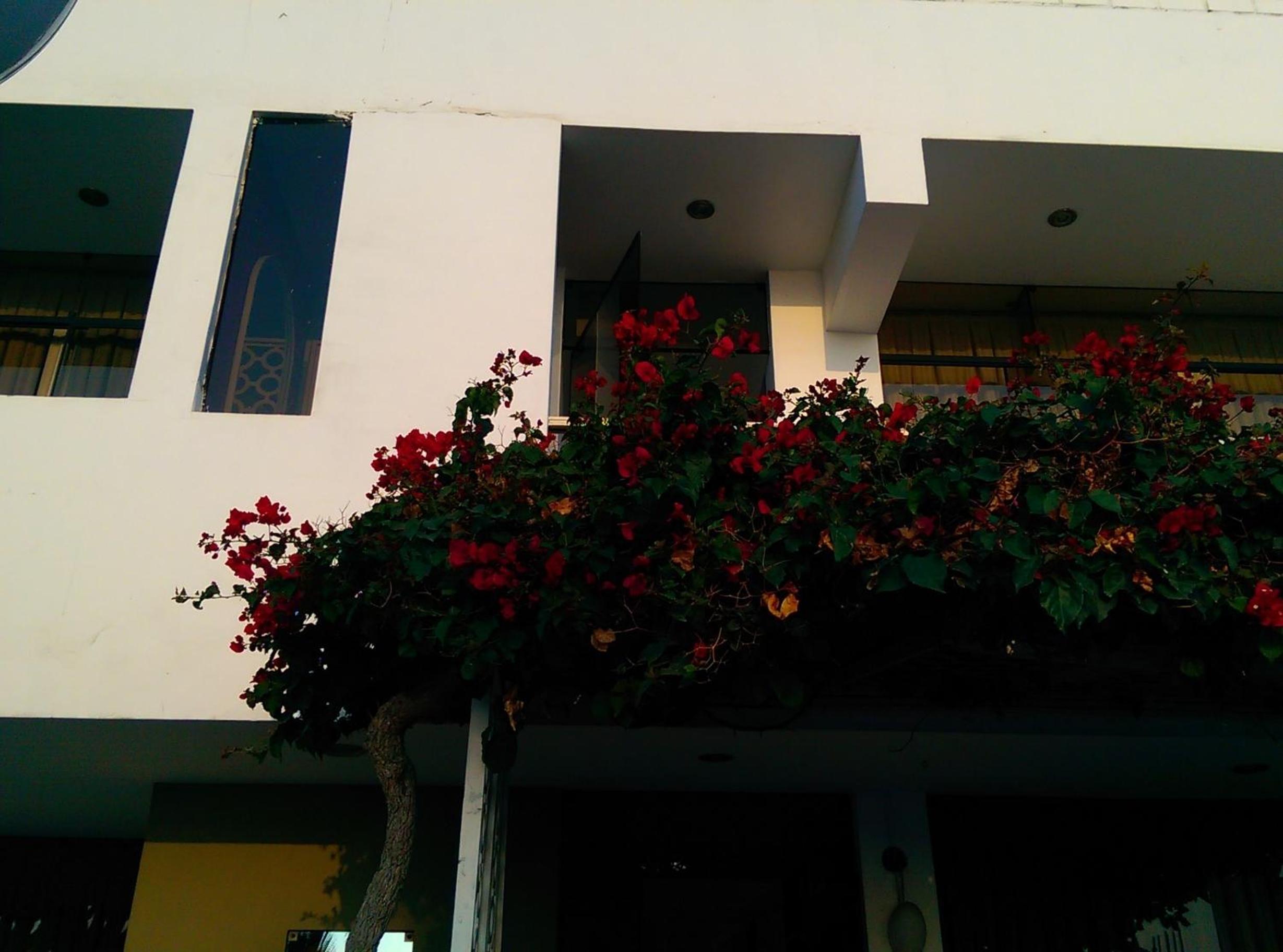 Hostal La Rivera, photo 24