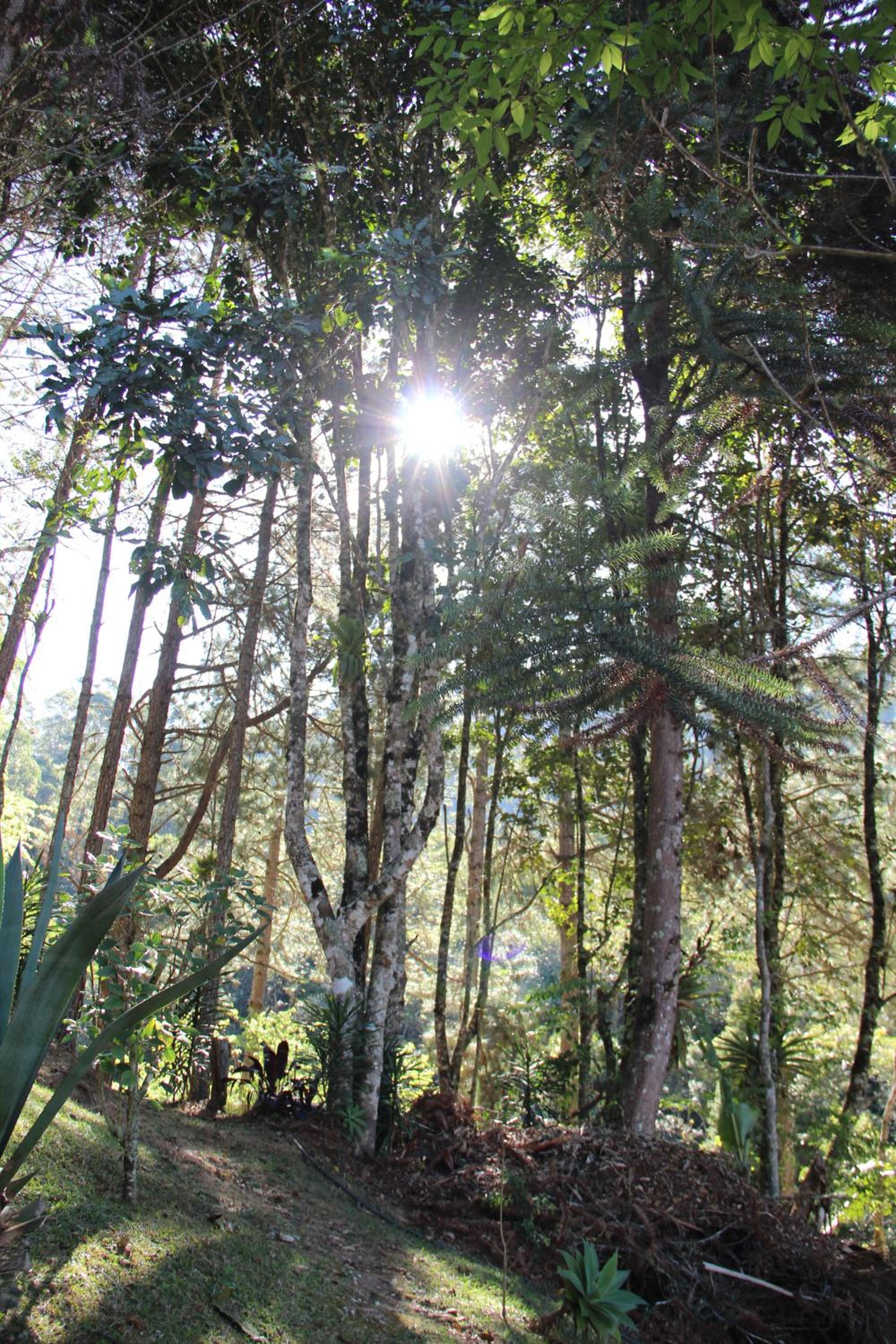 Solar Mirandela