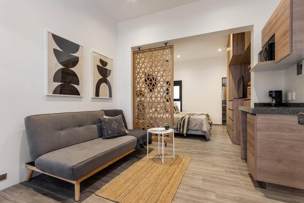 Loft con patio, roof garden, bicicletas en La Roma photo 3
