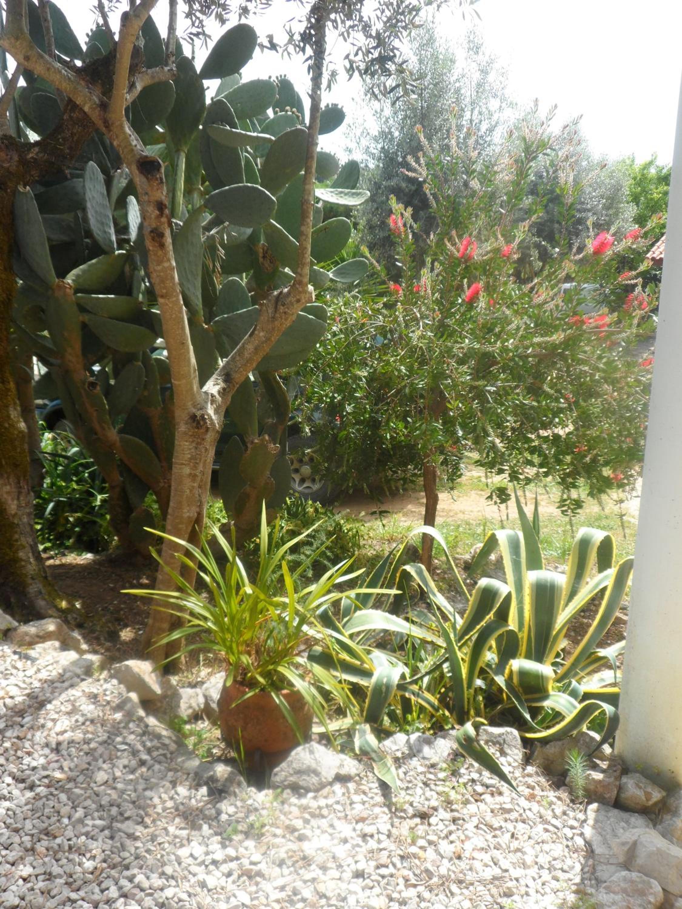 Redondo Lodges