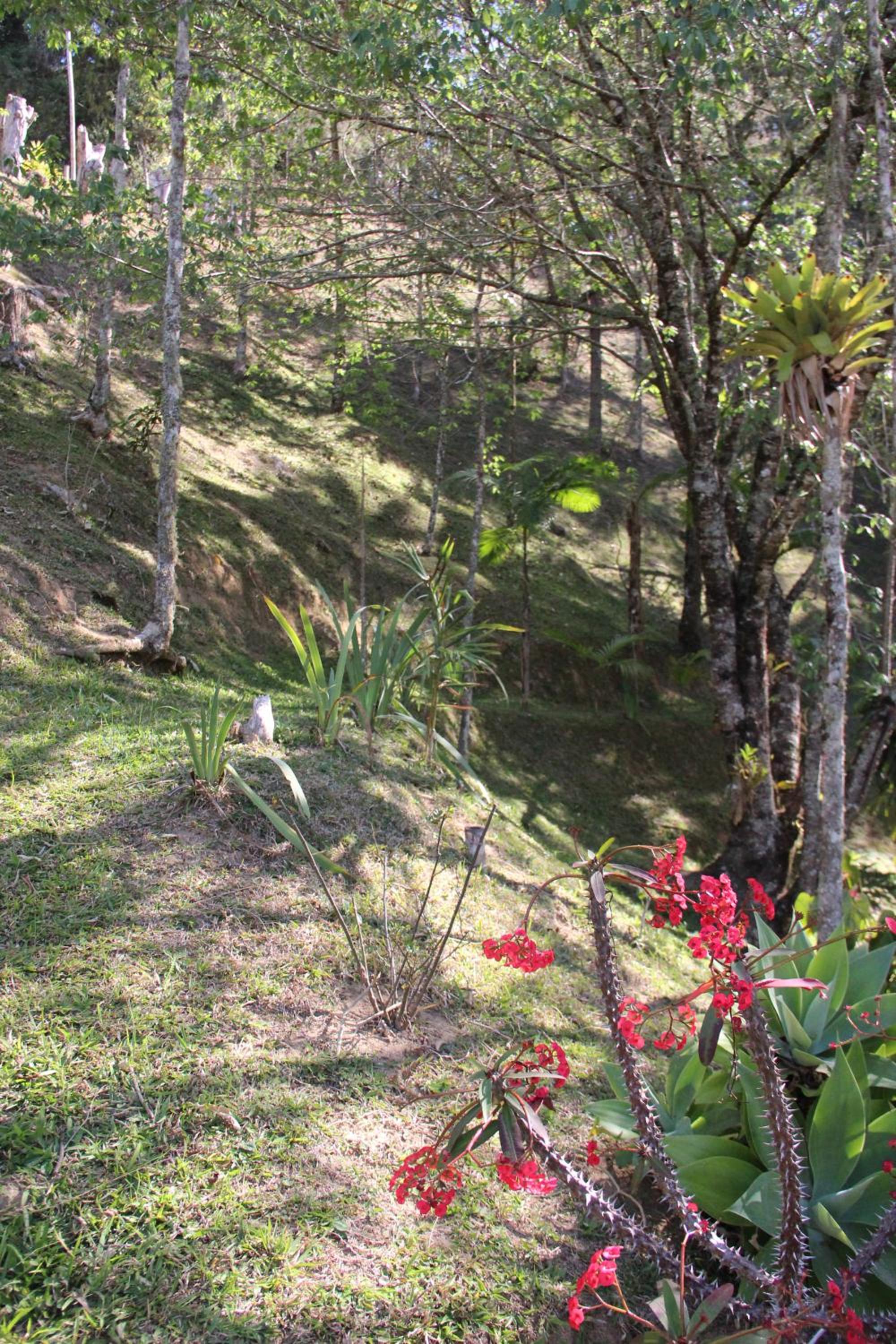 Solar Mirandela