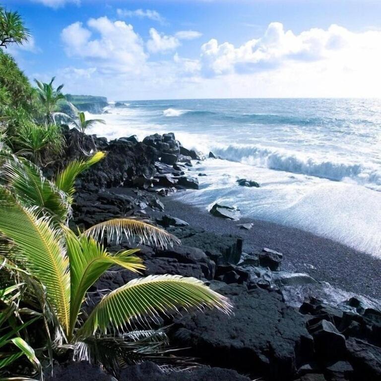 Oceanfront Condo & Walking Distance to Beach and Town- Hale Kona Kai 207 by Casago Kona view 3