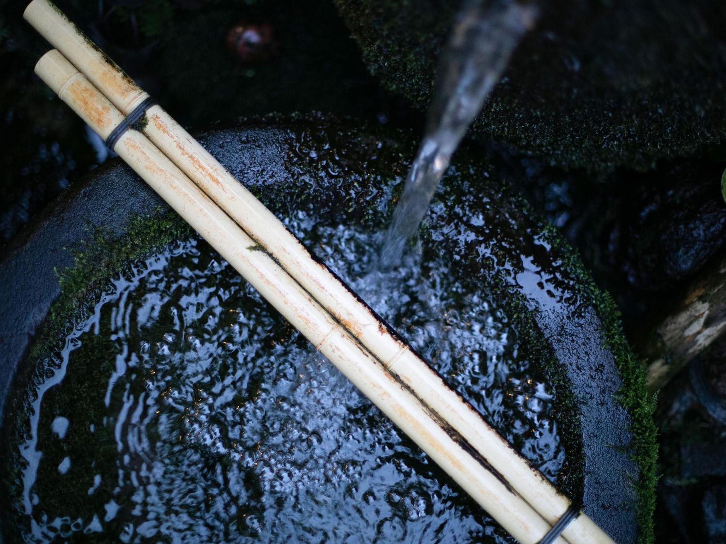 AsoTsuruya