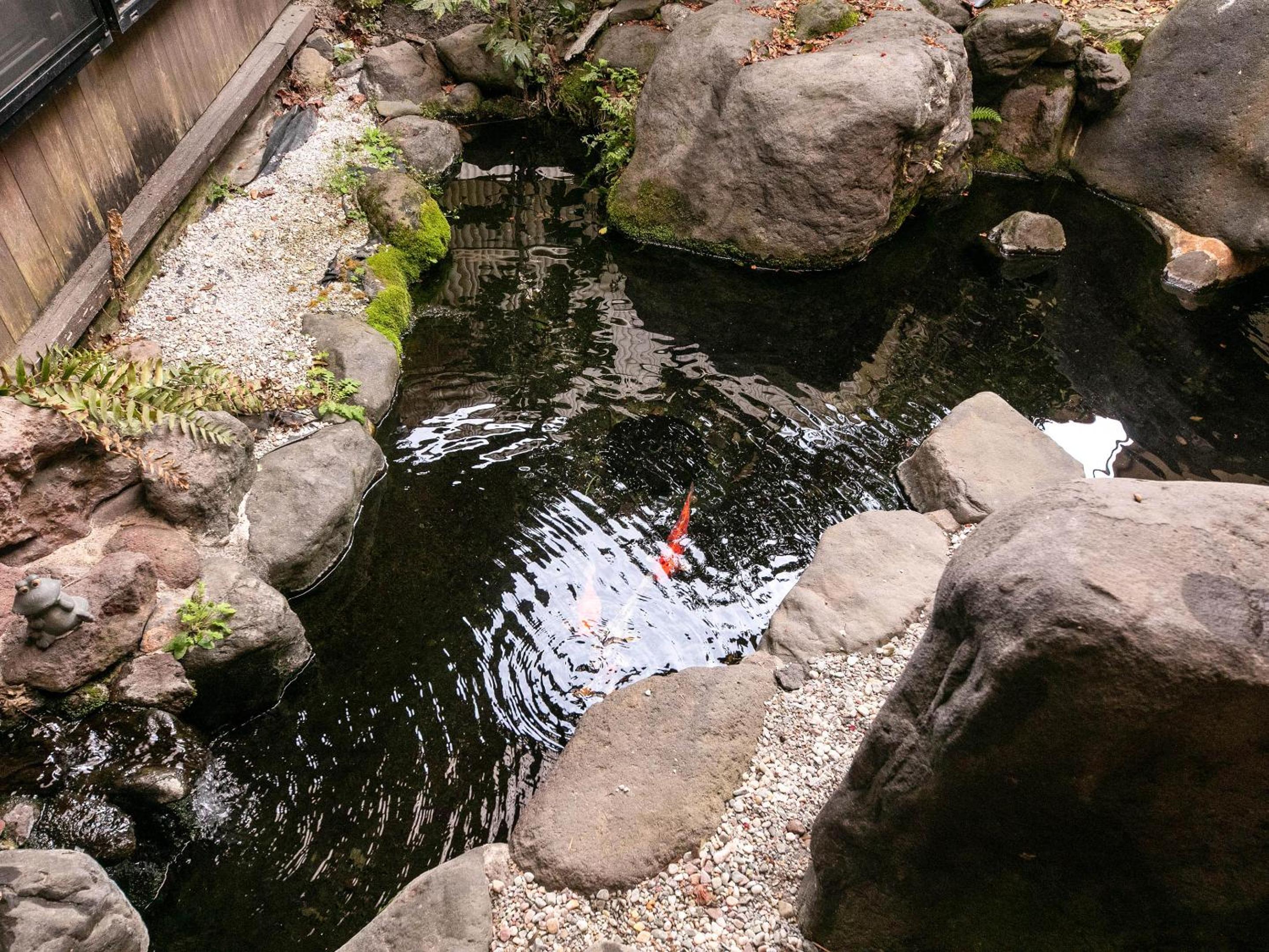 AsoTsuruya